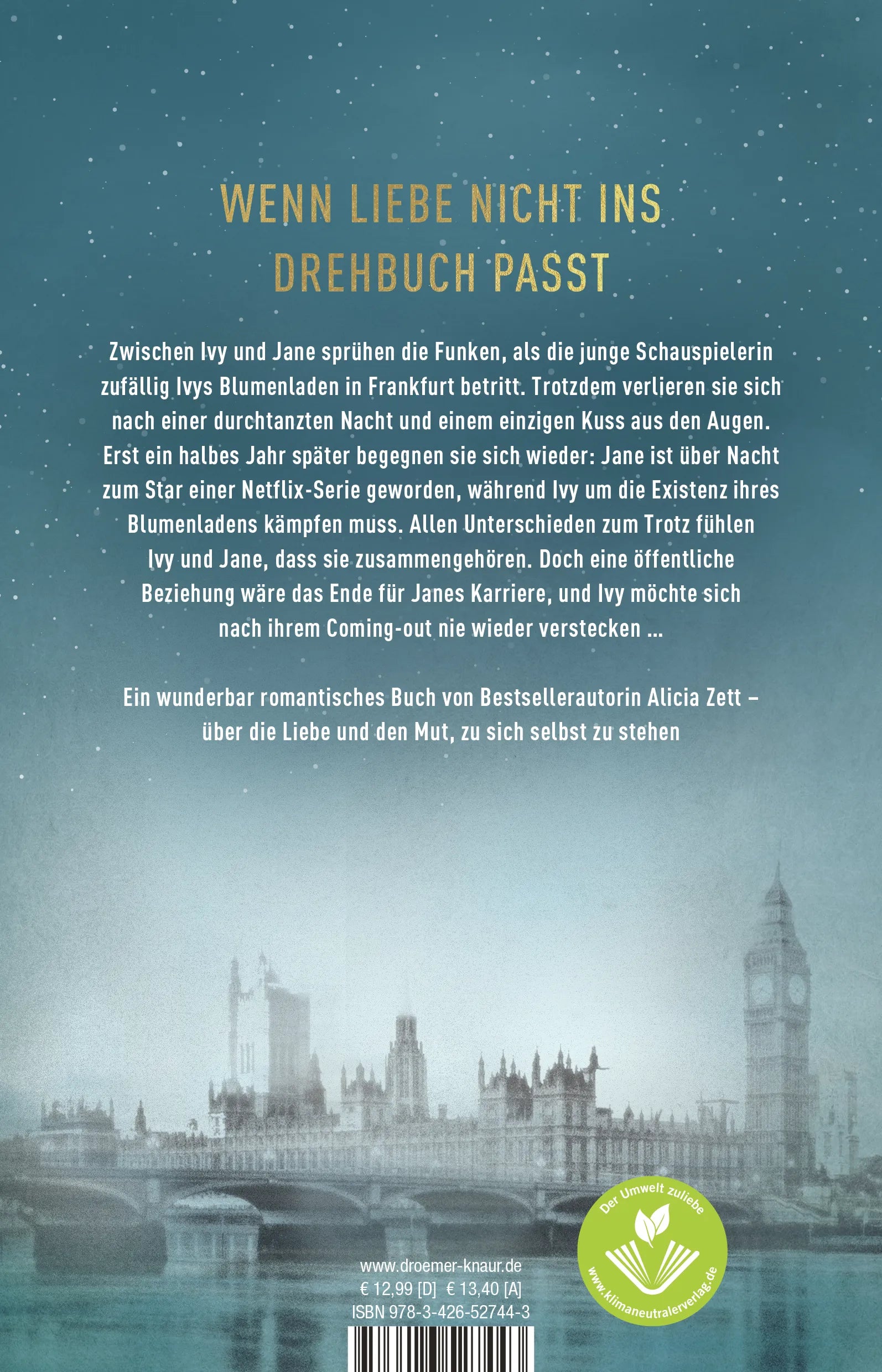Buchrückseite von 'No Place For Us' mit Klappentext - Paperback