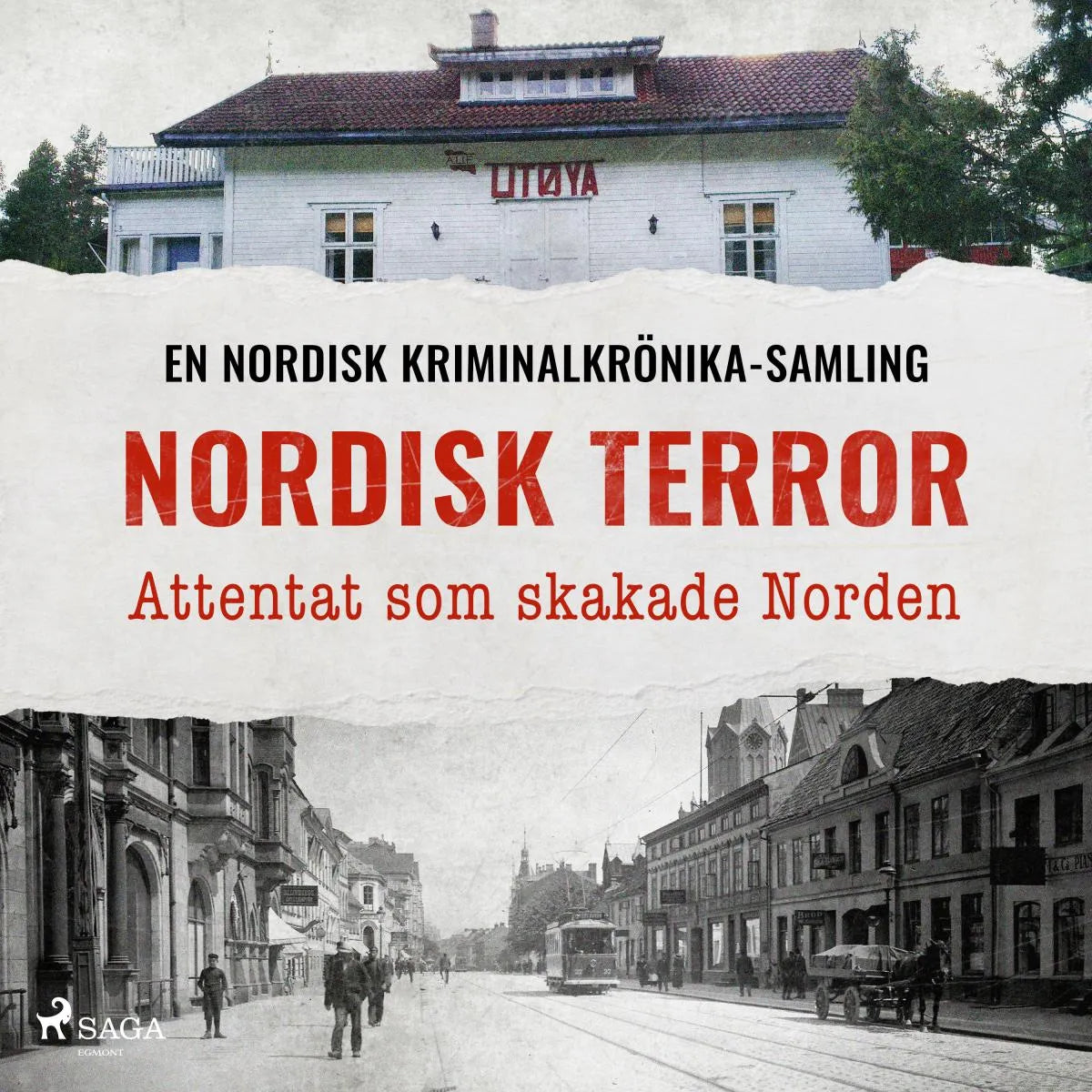 Cover: Nordisk terror - Attentat som skakade Norden (Hörbuch Download) von Diverse