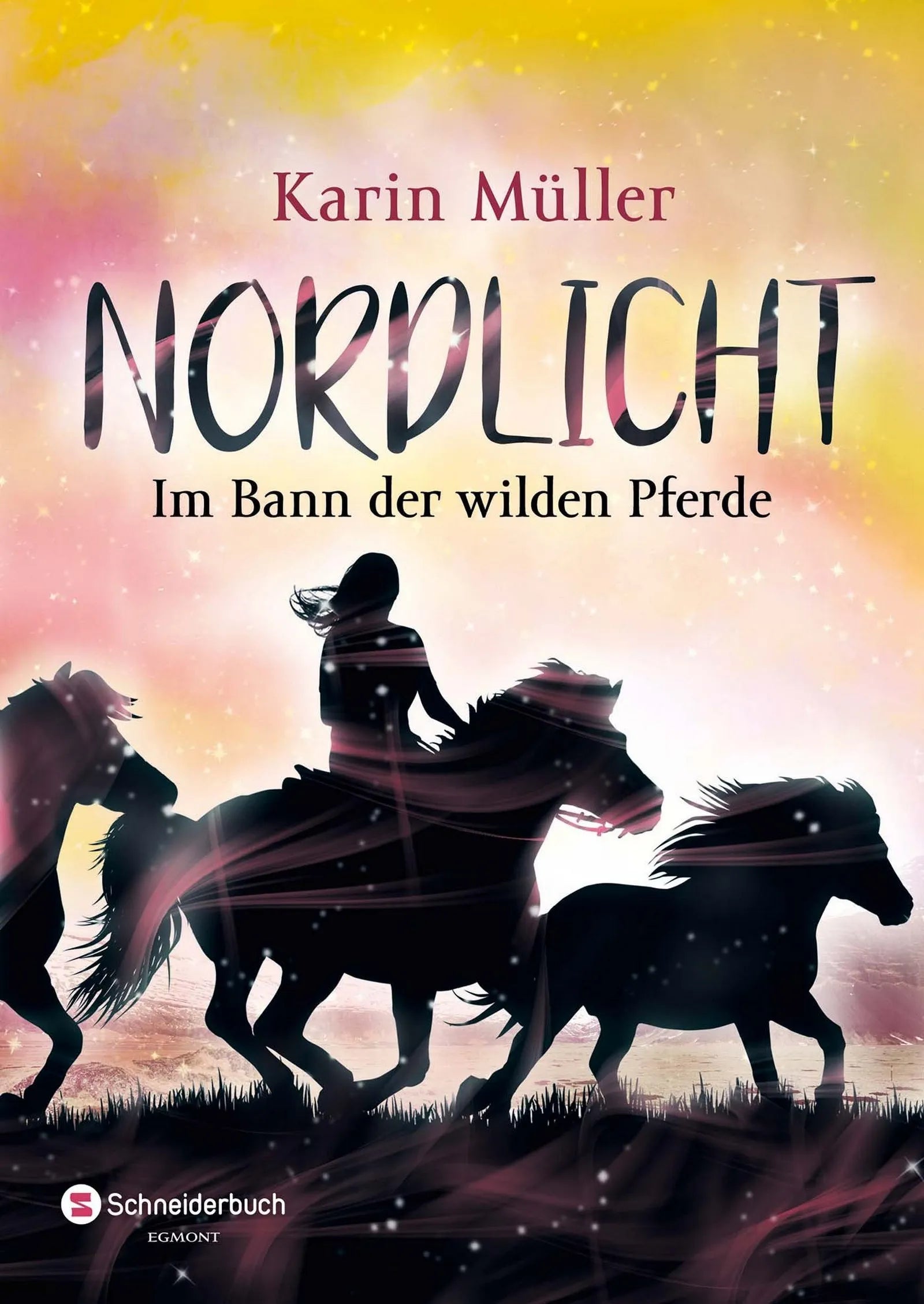 Buchcover von 'Nordlicht, Band 02' - Taschenbuch von Karin Müller