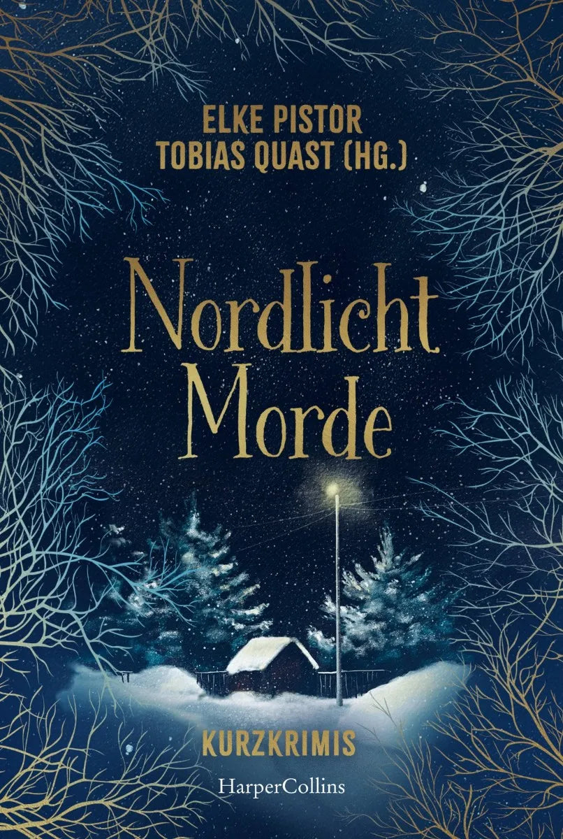 Cover: Nordlichtmorde. 20 Kurzkrimis (E-Book) von Elke Pistor
