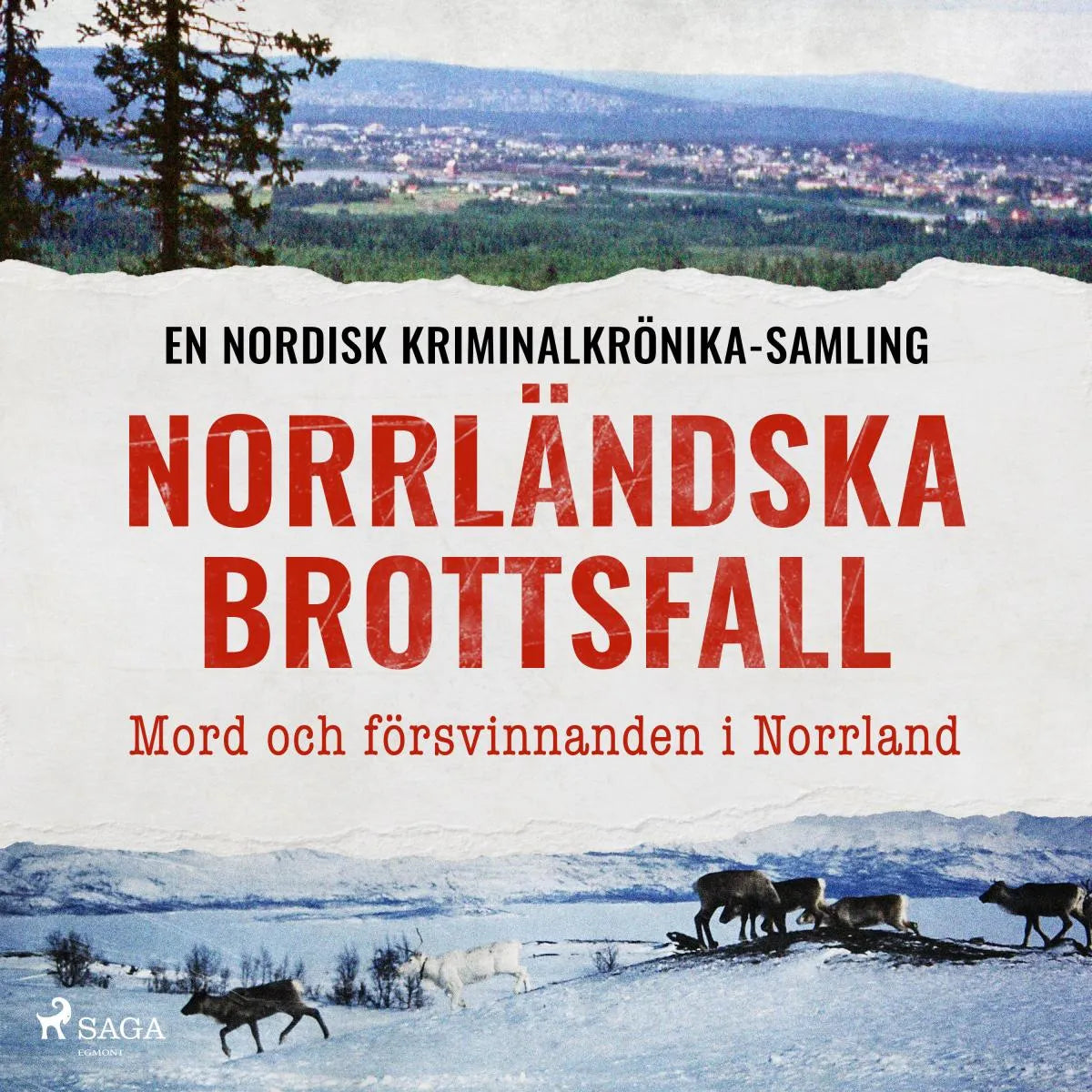 Cover: Norrländska brottsfall - Mord och försvinnanden i Norrland (Hörbuch Download) von Diverse