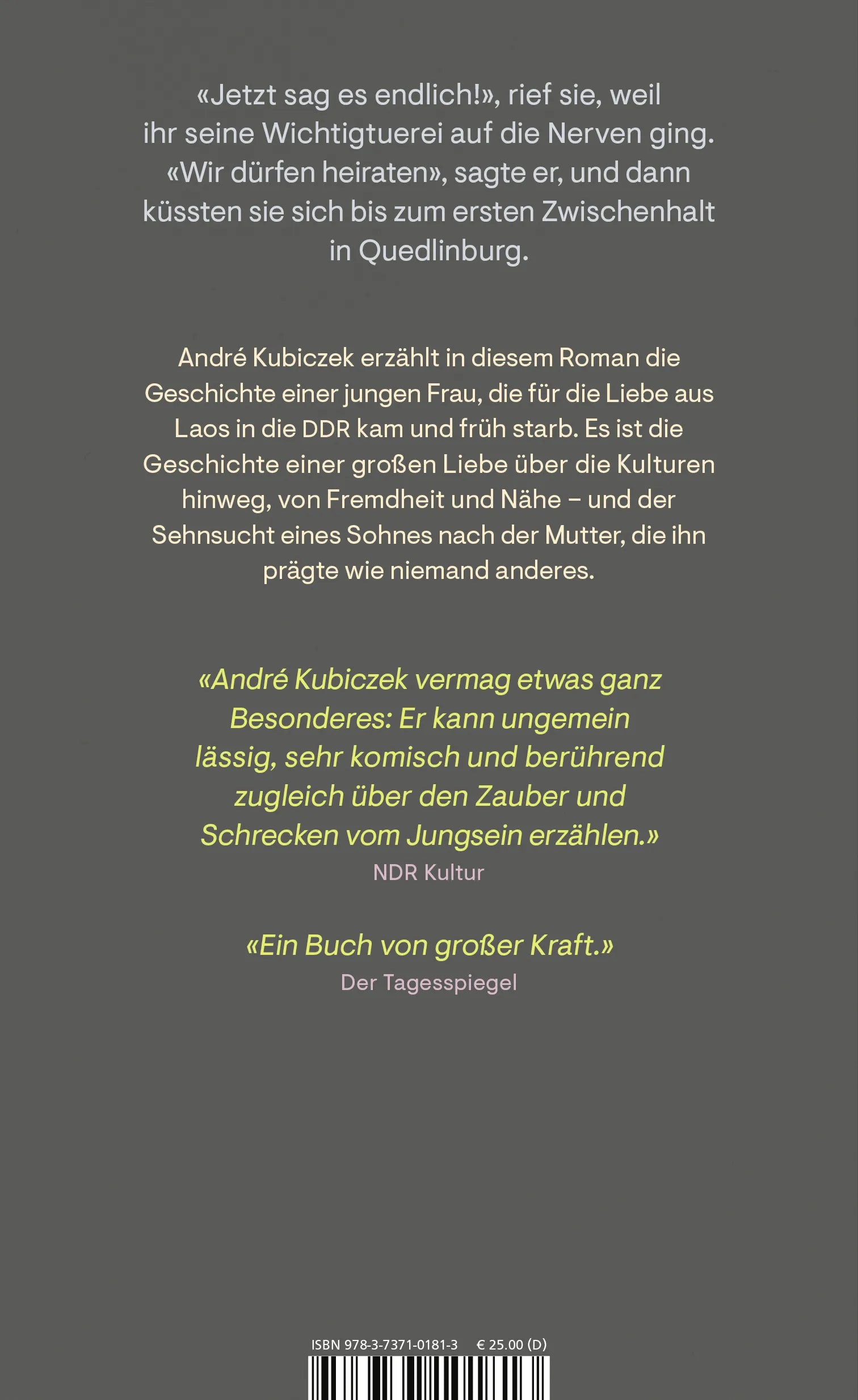 Buchrückseite von 'Nostalgia' mit Klappentext - Gebundene Ausgabe