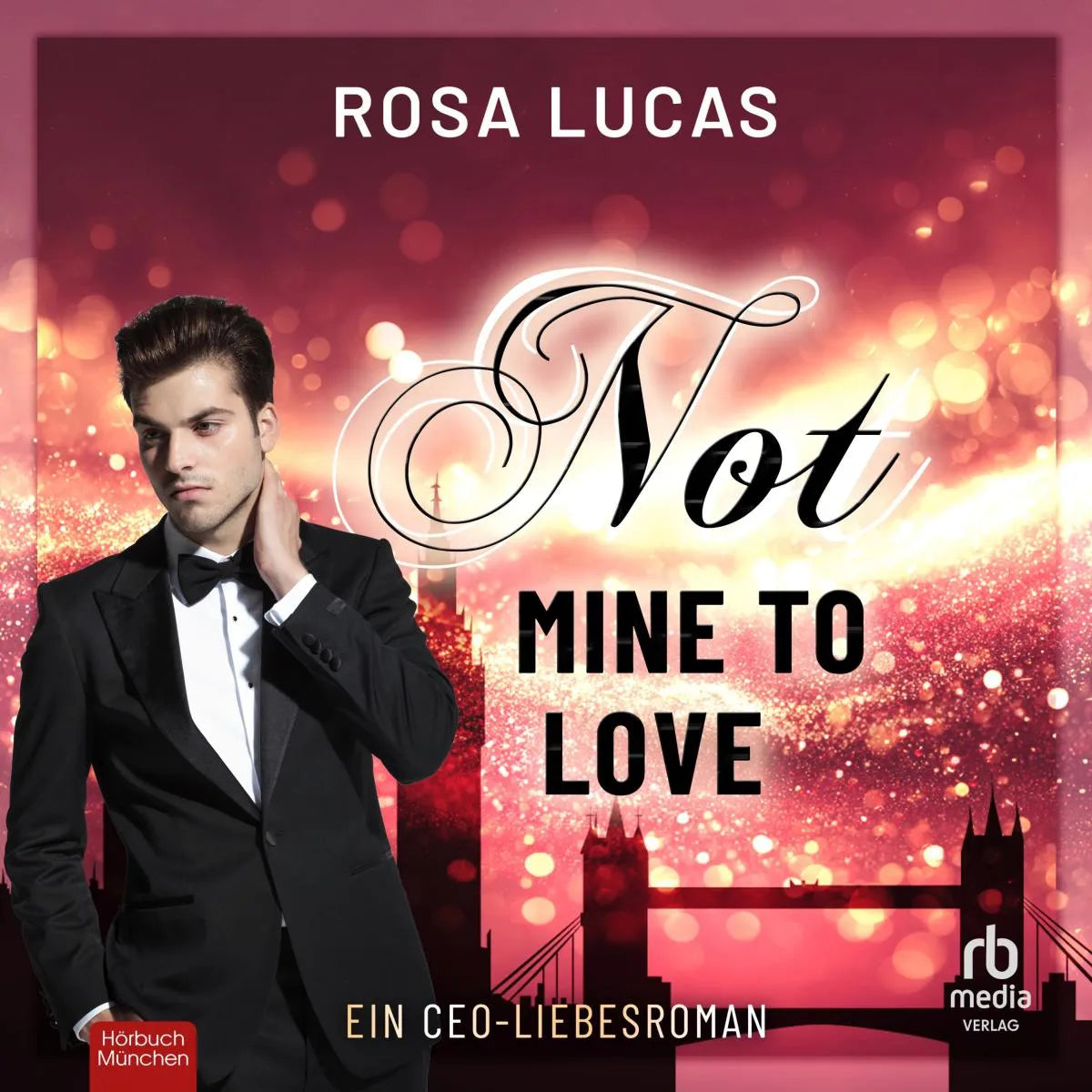 Cover: Not Mine to Love (Hörbuch Download) von Rosa Lucas