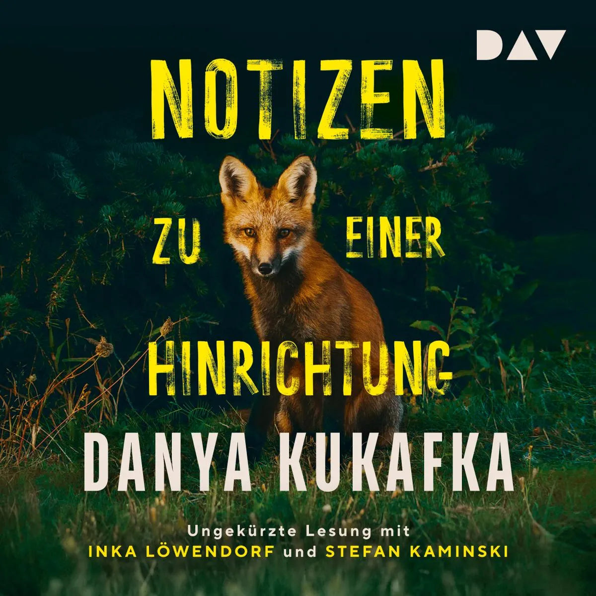 Cover: Notizen zu einer Hinrichtung (Hörbuch Download) von Danya Kukafka