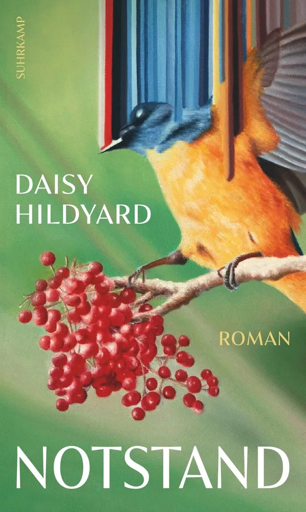 Cover: Notstand (E-Book) von Daisy Hildyard