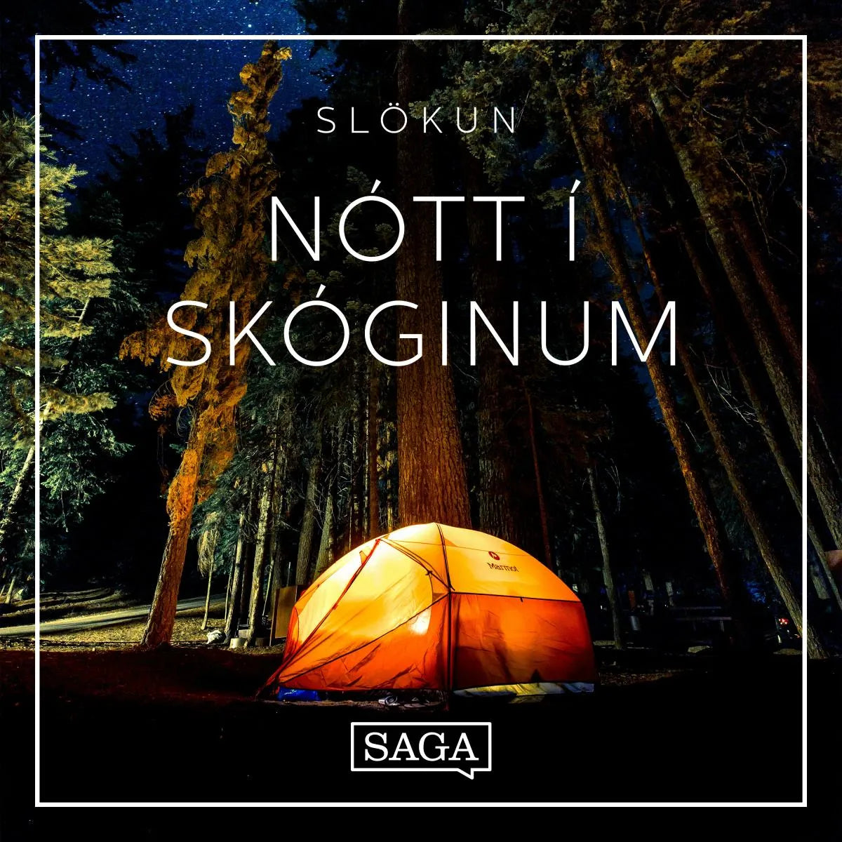 Cover: Nótt í skóginum (Hörbuch Download) von Rasmus Broe