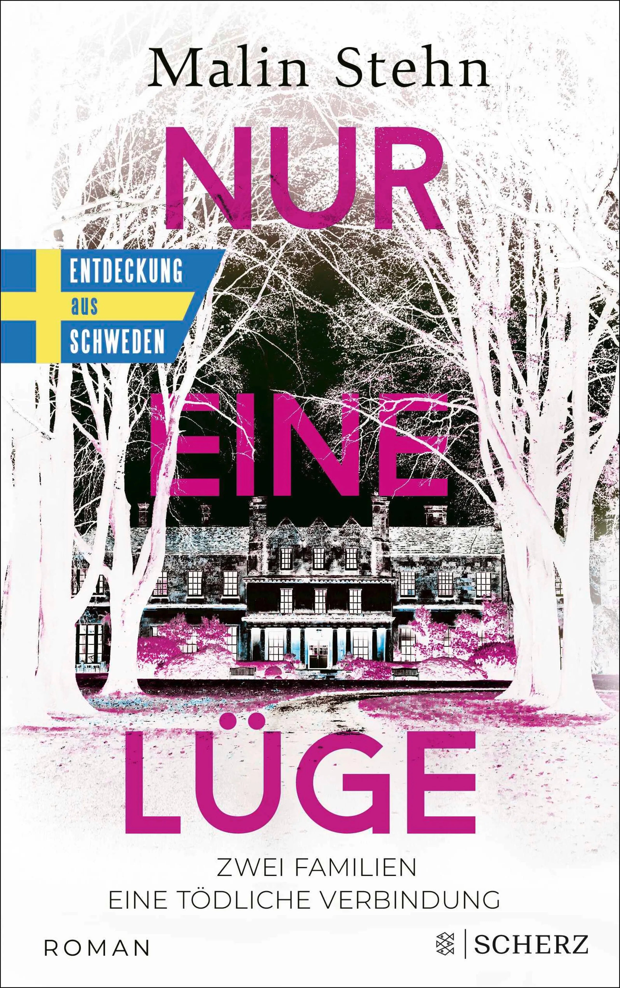 Cover: Nur eine Lüge – Zwei Familien, eine tödliche Verbindung (E-Book) von Malin Stehn