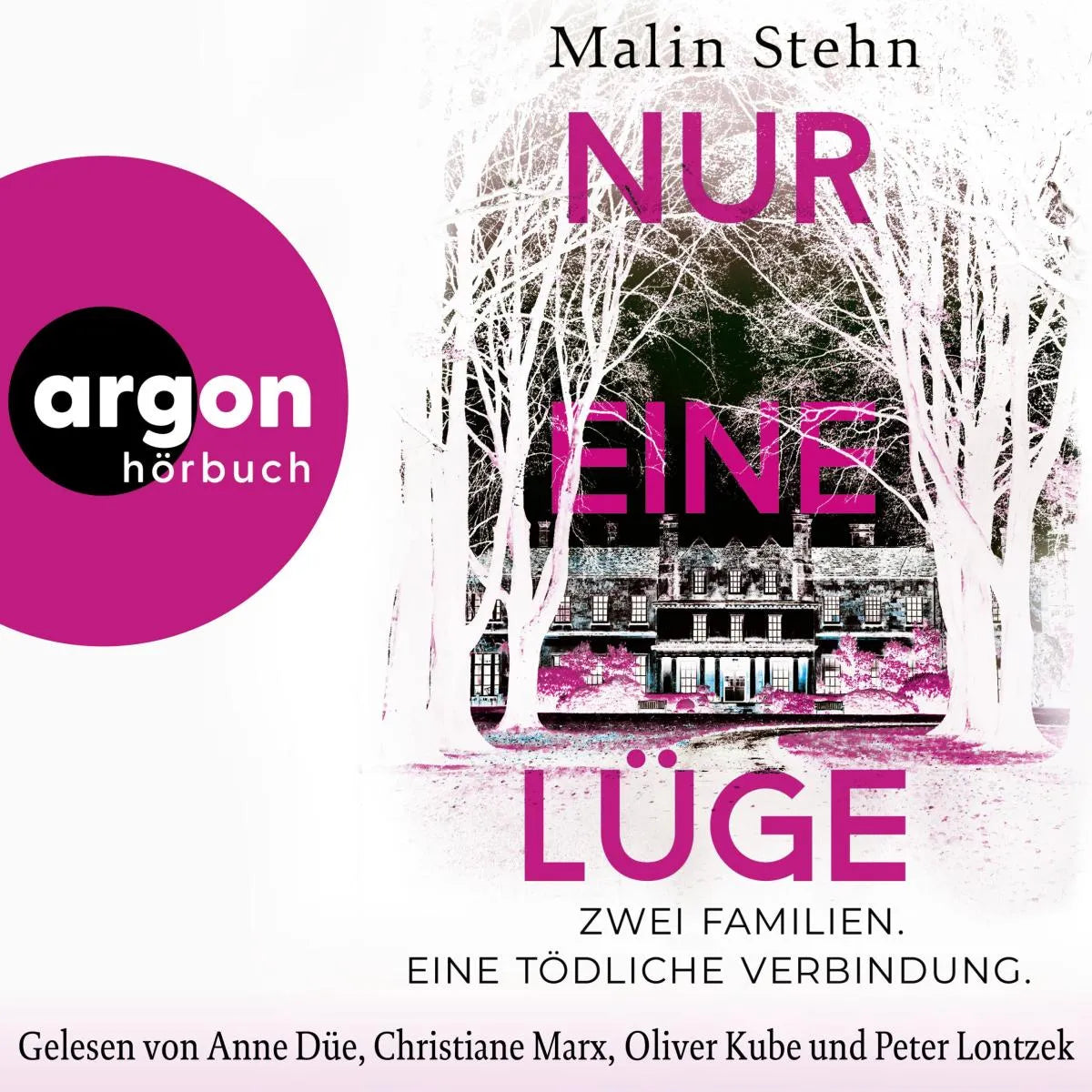 Cover: Nur eine Lüge - Zwei Familien, eine tödliche Verbindung (Hörbuch Download) von Malin Stehn