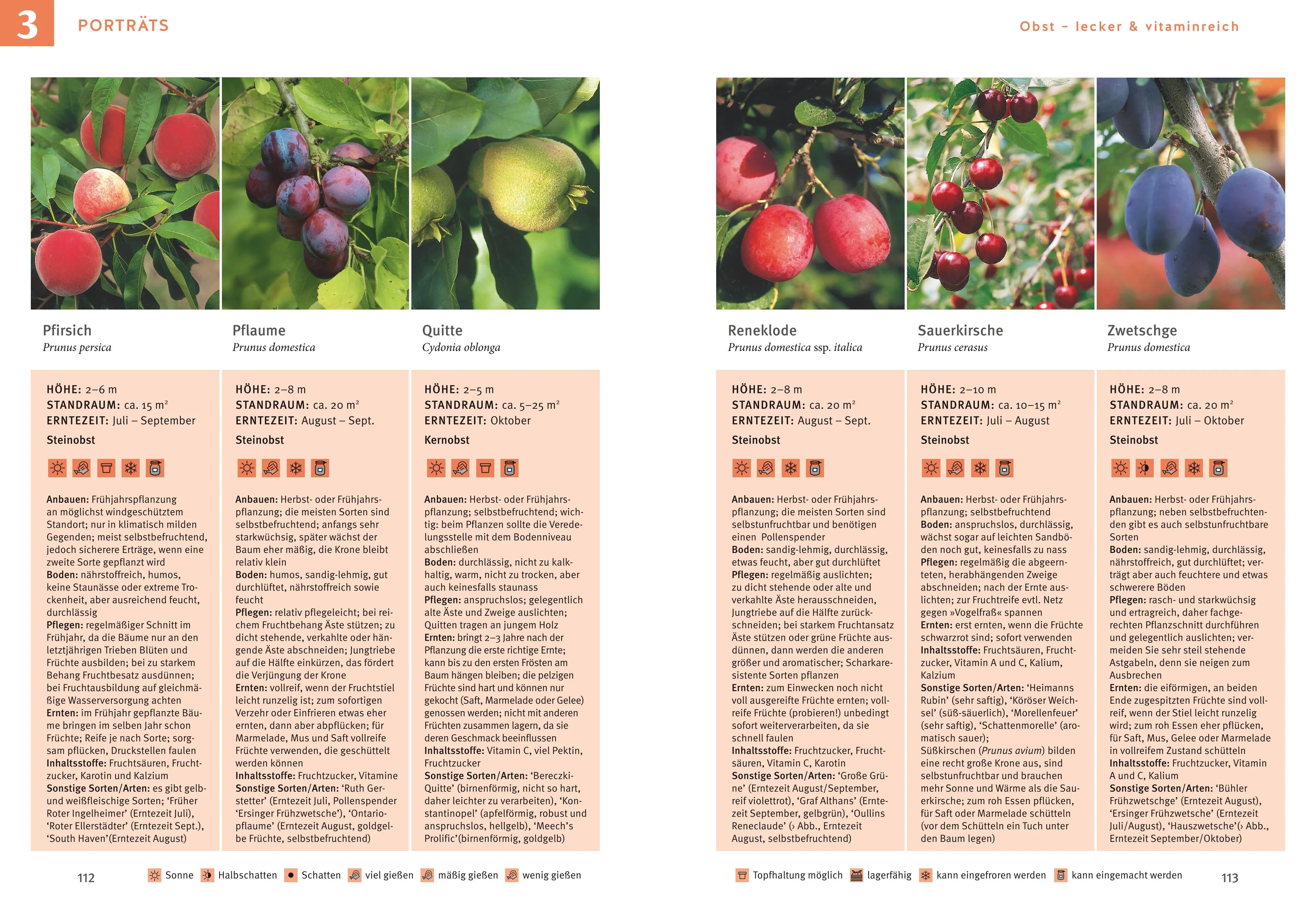 Produktansicht: Obst & Gemüse selbst anbauen (Gebundene Ausgabe)