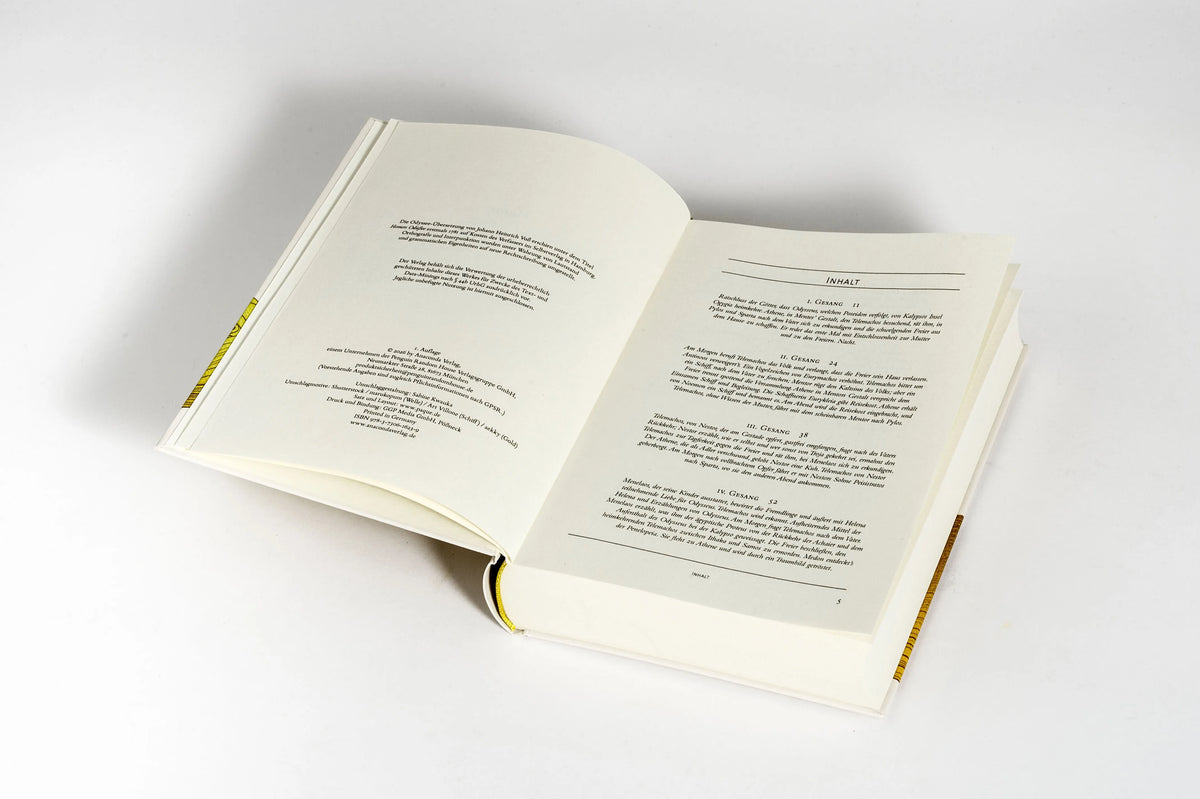 Detailansicht: Odyssee (Hardcover)