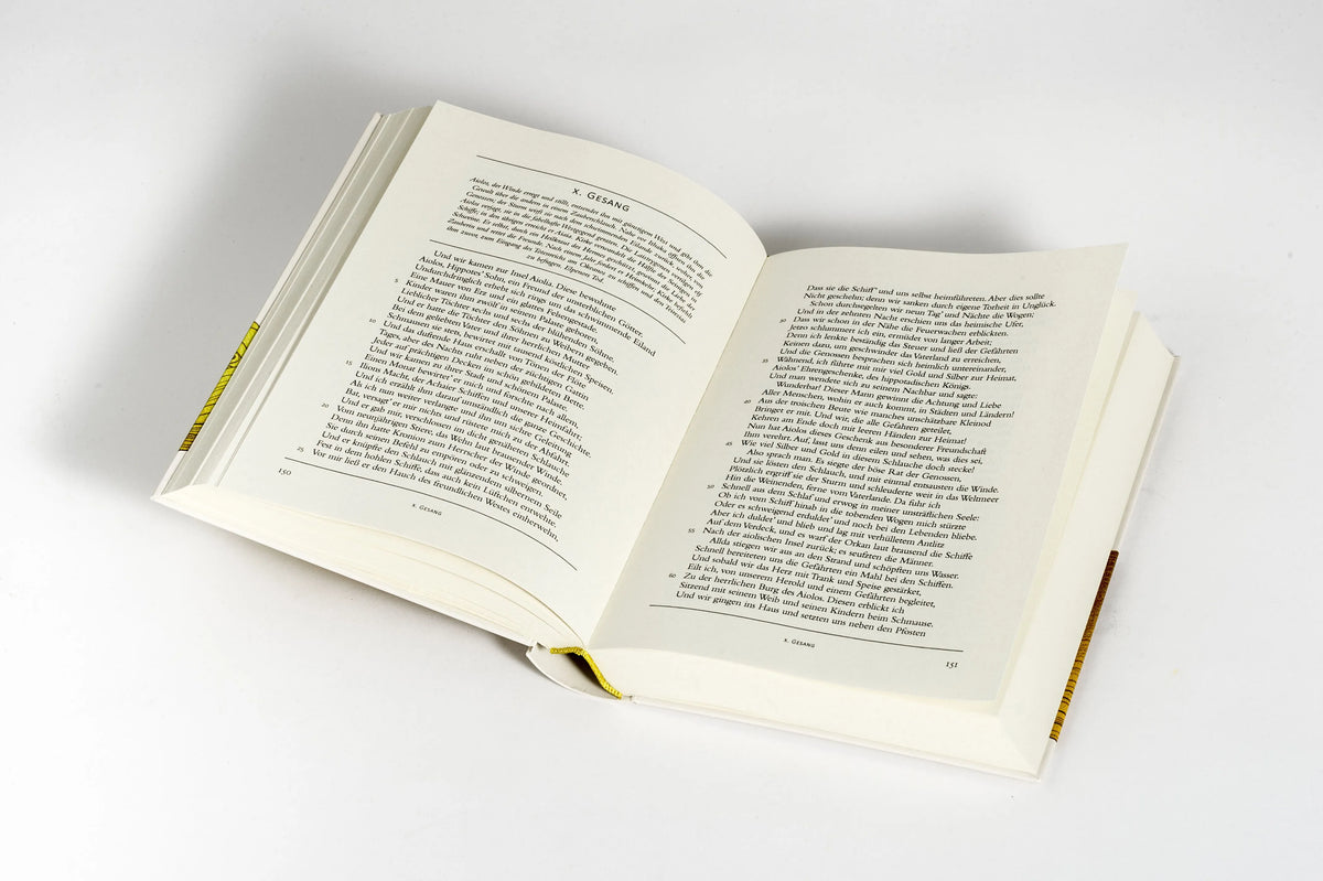 Detailansicht: Odyssee (Hardcover)