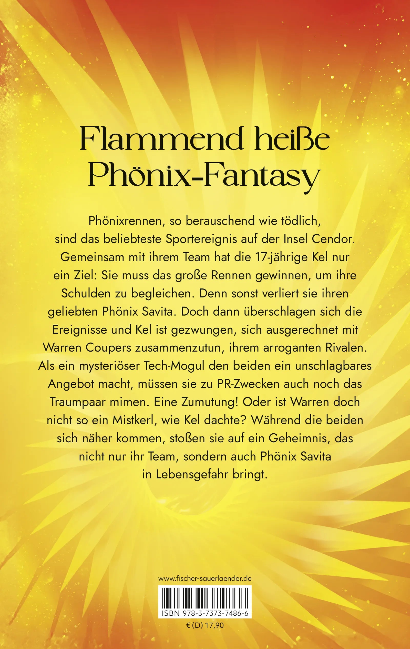 Buchrückseite von 'Of Flame and Fury' mit Klappentext - Paperback