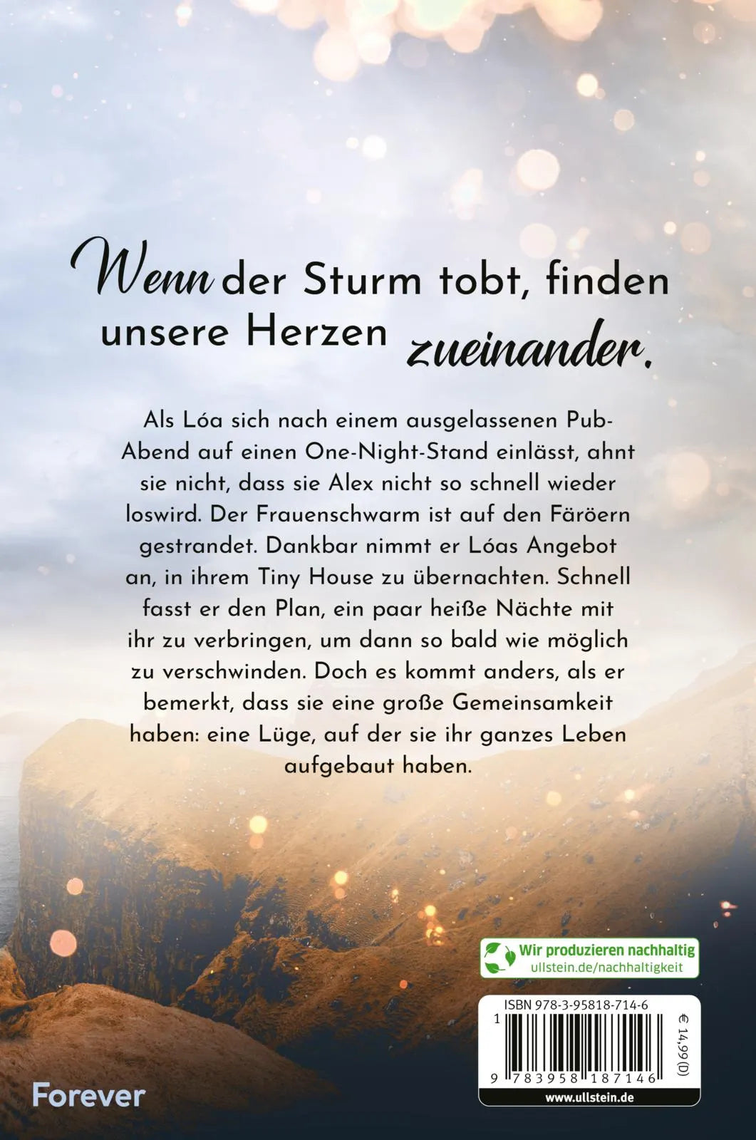 Buchrückseite von 'Of Ocean and Storm' mit Klappentext - Paperback