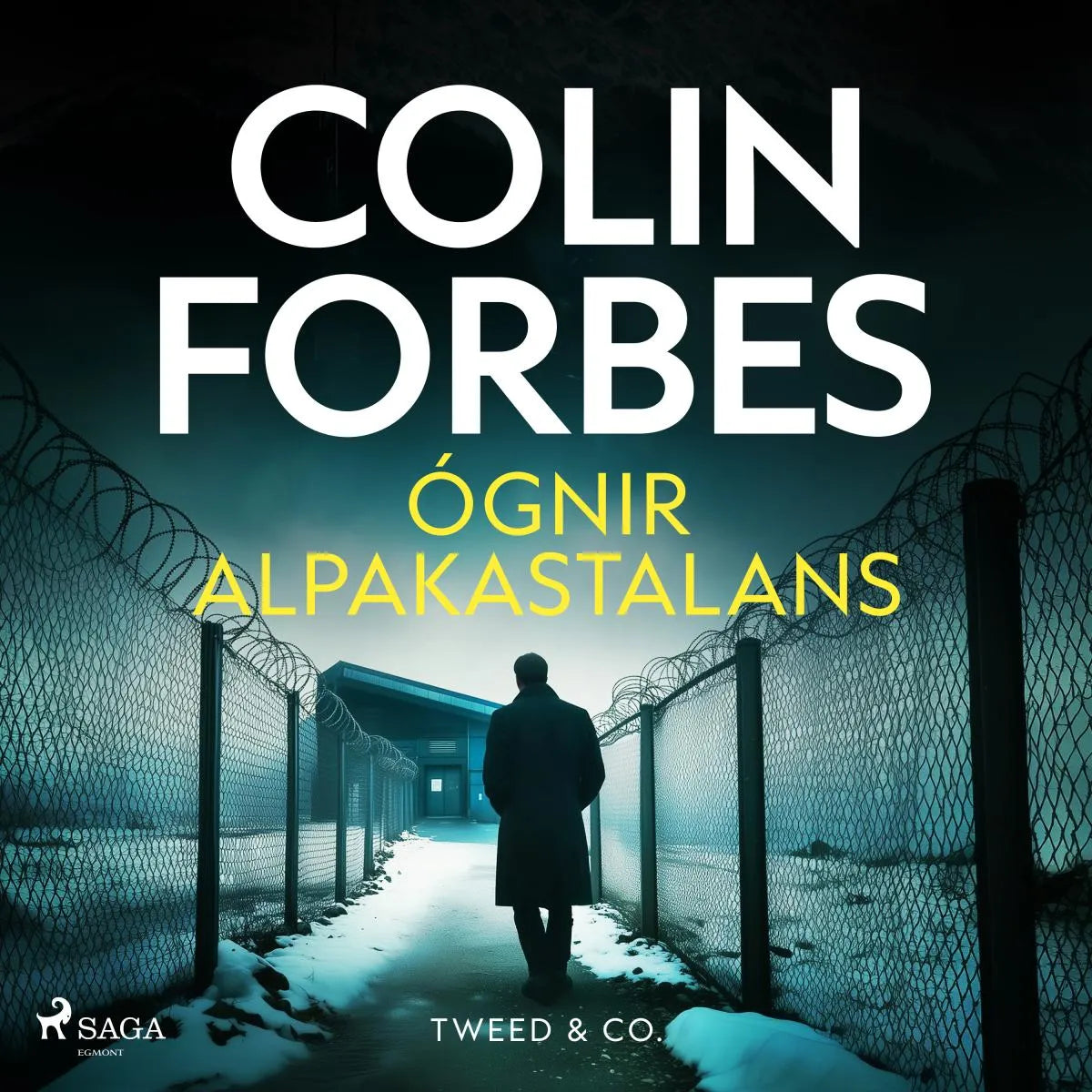 Cover: Ógnir alpakastalans (Hörbuch Download) von Colin Forbes