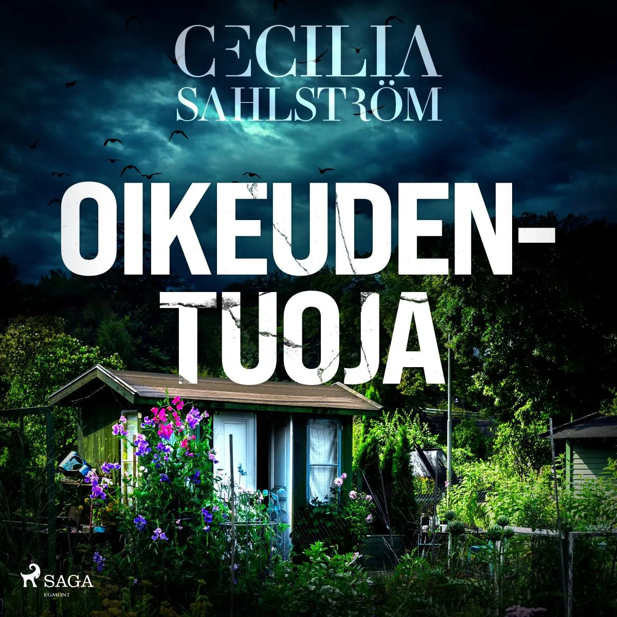 Cover: Oikeudentuoja (Hörbuch Download) von Cecilia Sahlström
