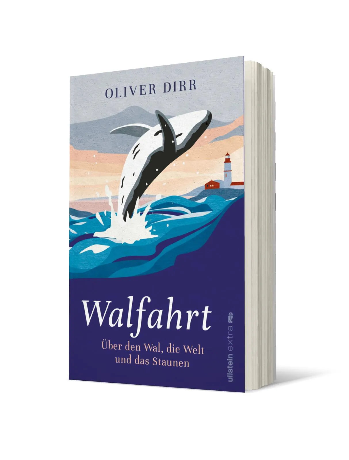 Produktansicht: Walfahrt (Paperback)