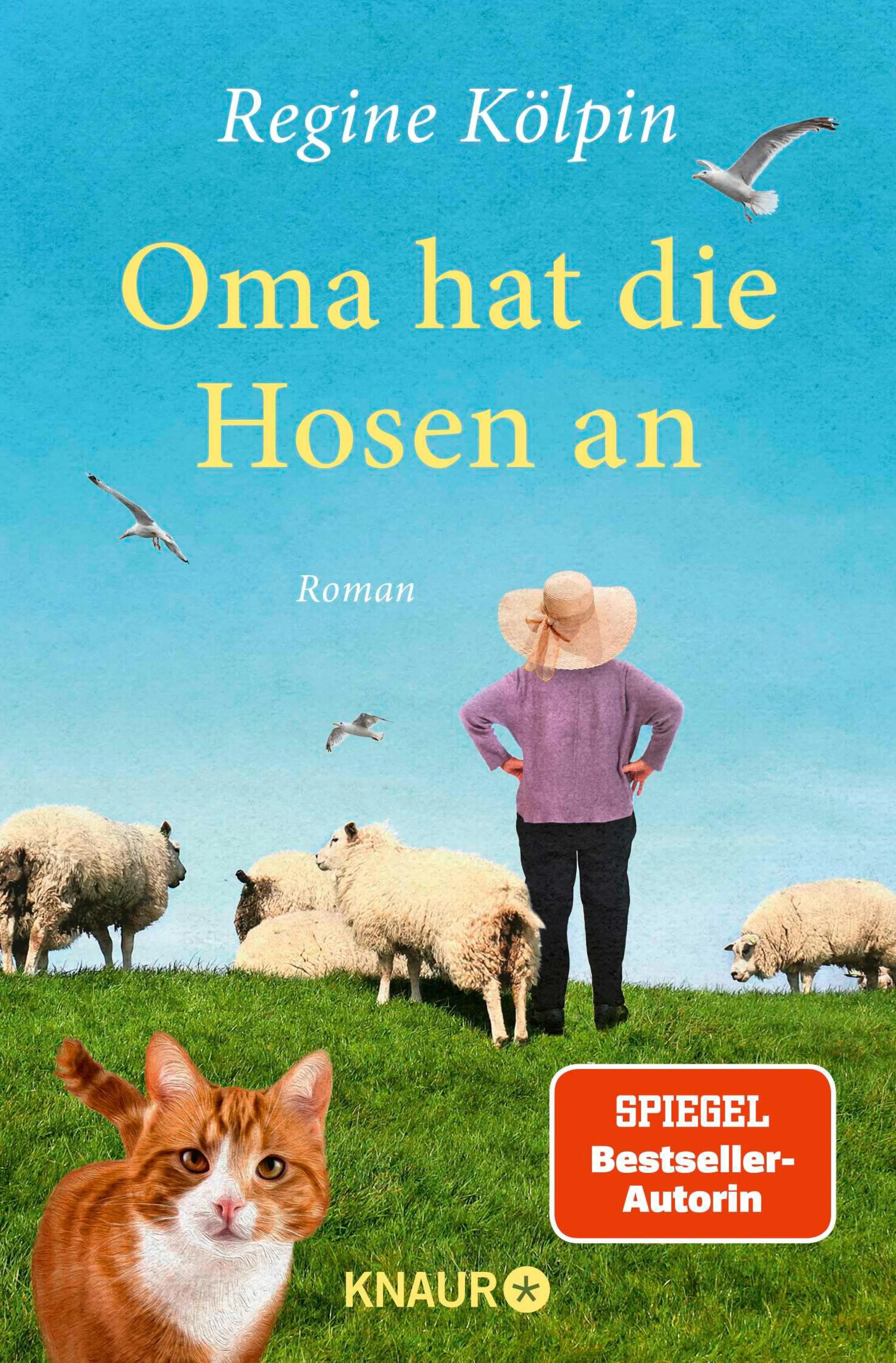 Cover: Oma hat die Hosen an (E-Book) von Regine Kölpin