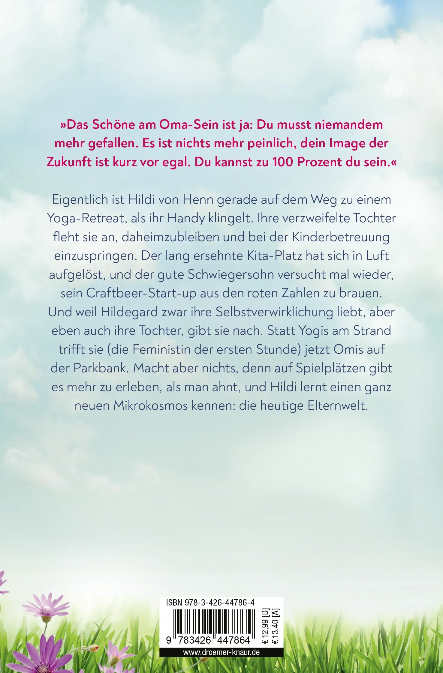 Buchrückseite von 'Oma Hildegard und der Spielplatz des Schreckens' mit Klappentext - Taschenbuch