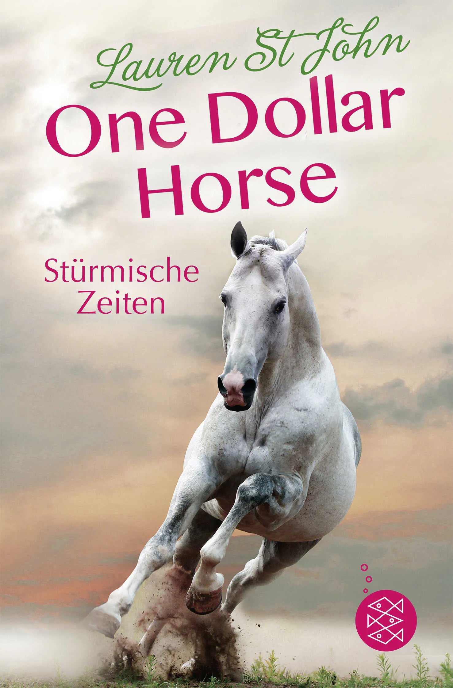 Buchcover von 'One Dollar Horse – Stürmische Zeiten' - Taschenbuch von Lauren St John