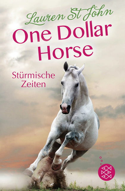 Buchcover von 'One Dollar Horse – Stürmische Zeiten' - Taschenbuch von Lauren St John