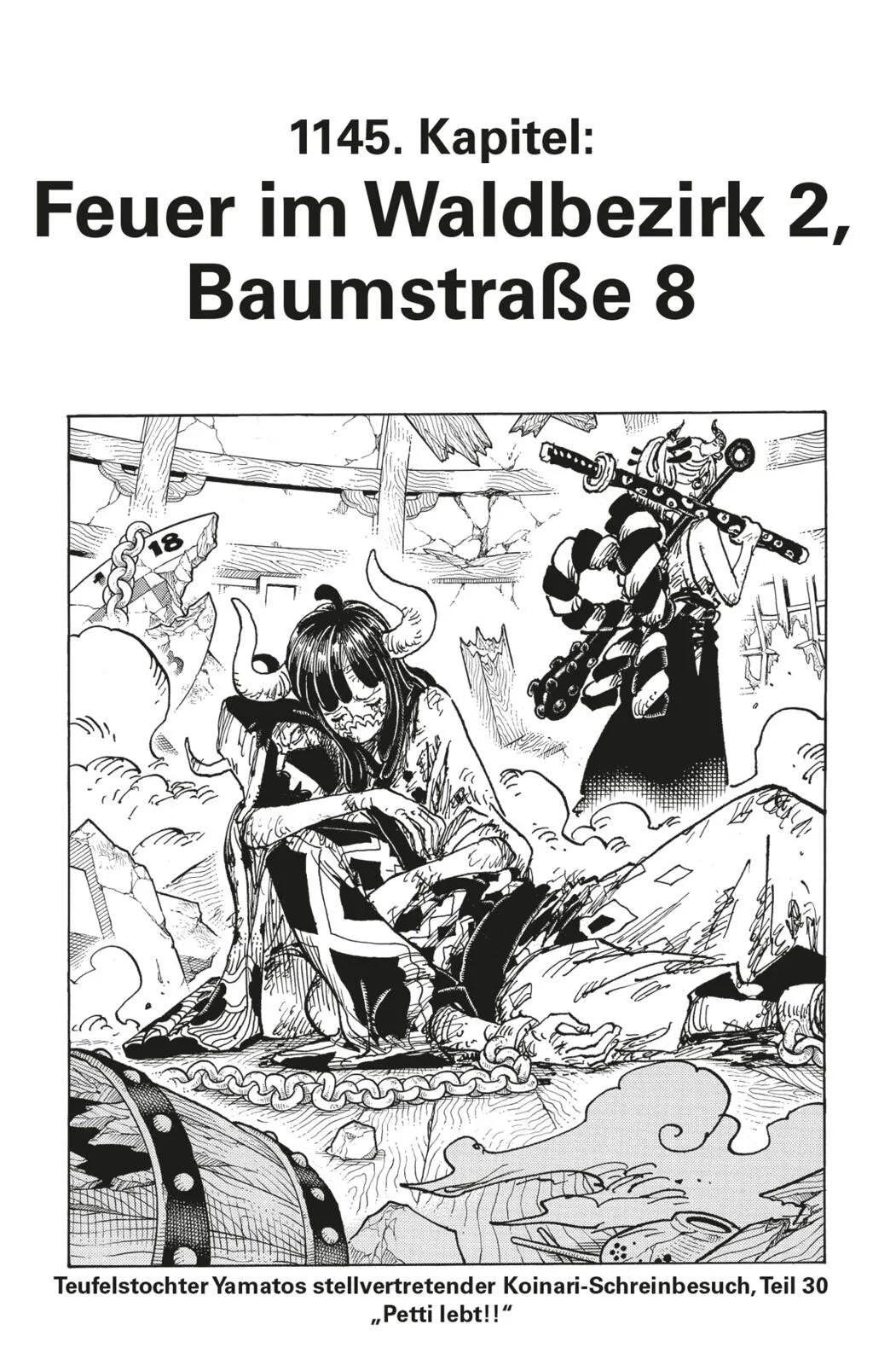 Detailansicht: One Piece 113 (Taschenbuch)