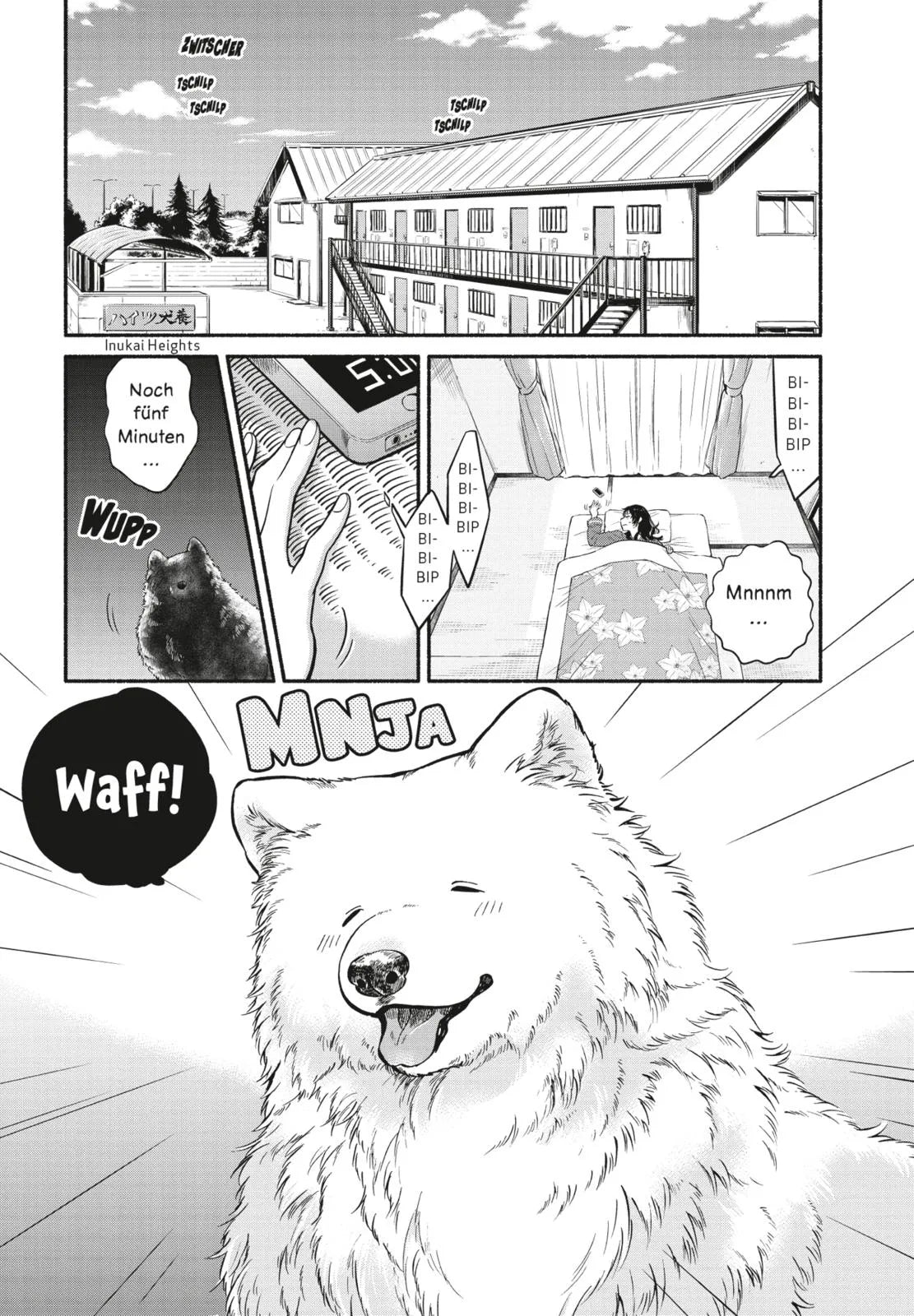 Abbildung von 'One Room Dog 1'