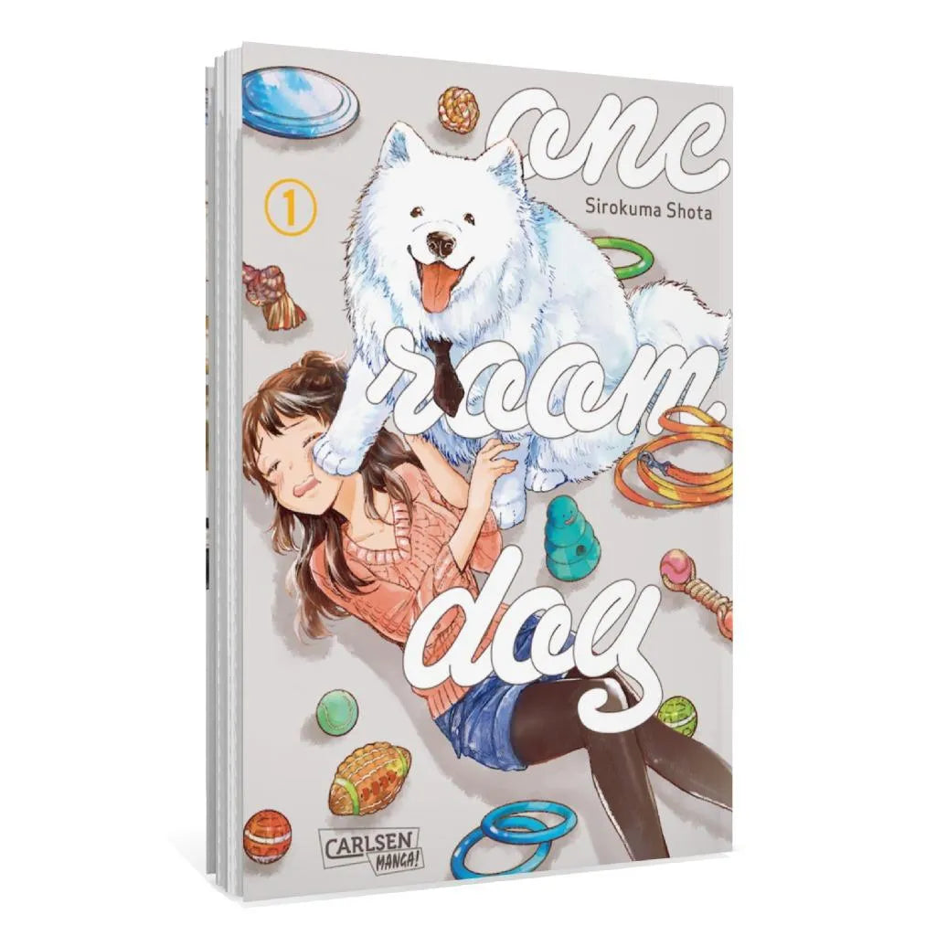 Produktansicht: One Room Dog 1 (Taschenbuch)