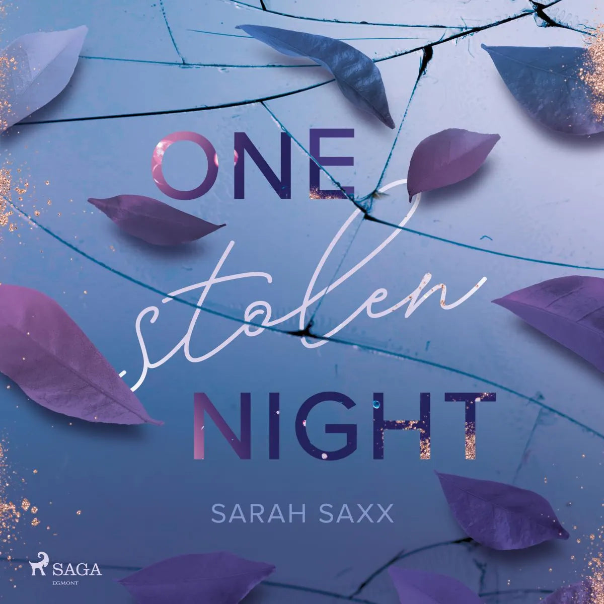 Cover: One Stolen Night (Hörbuch Download) von Sarah Saxx