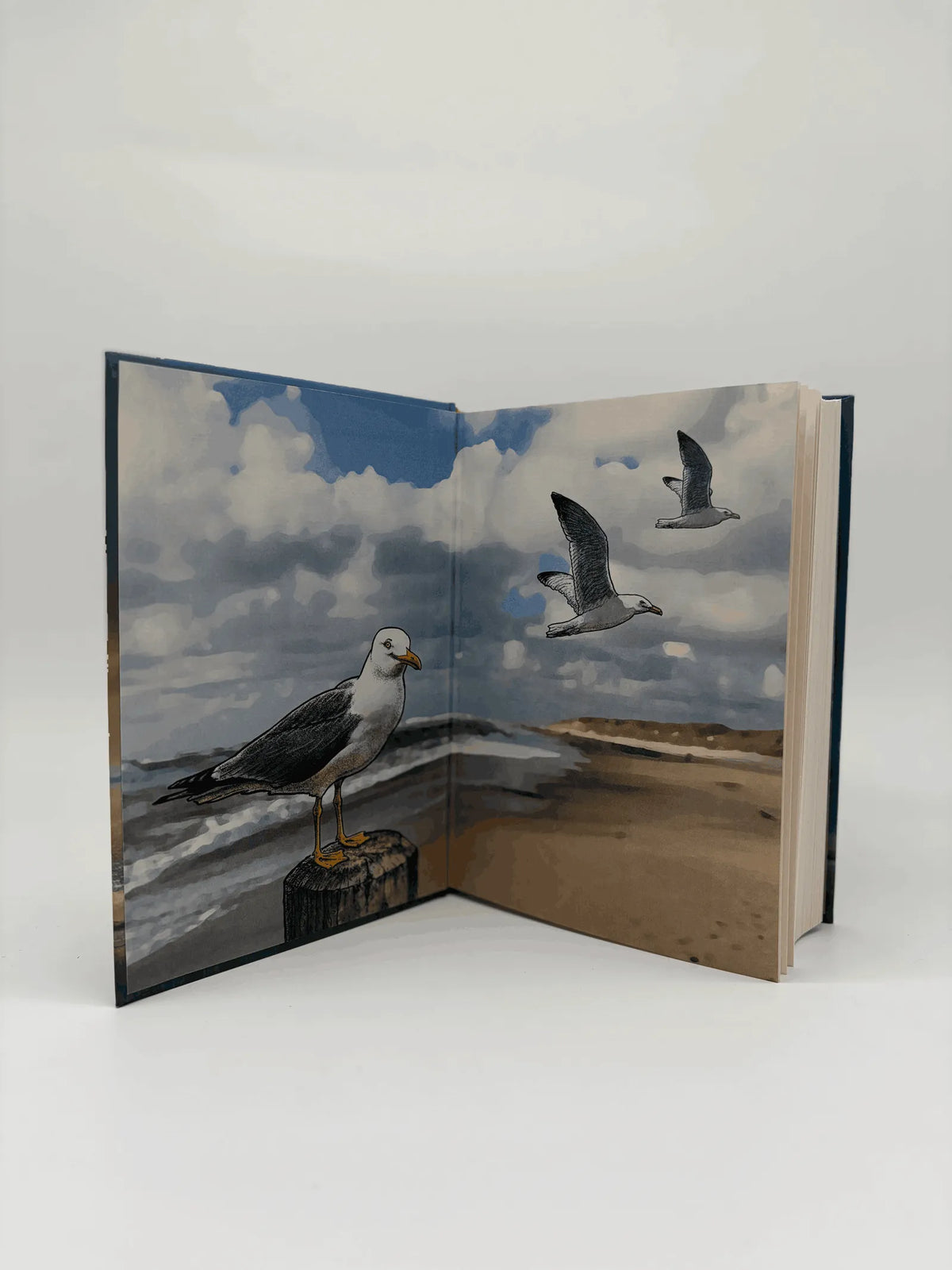 Detailansicht: Onkel Warfsmann und das Meer (Hardcover)