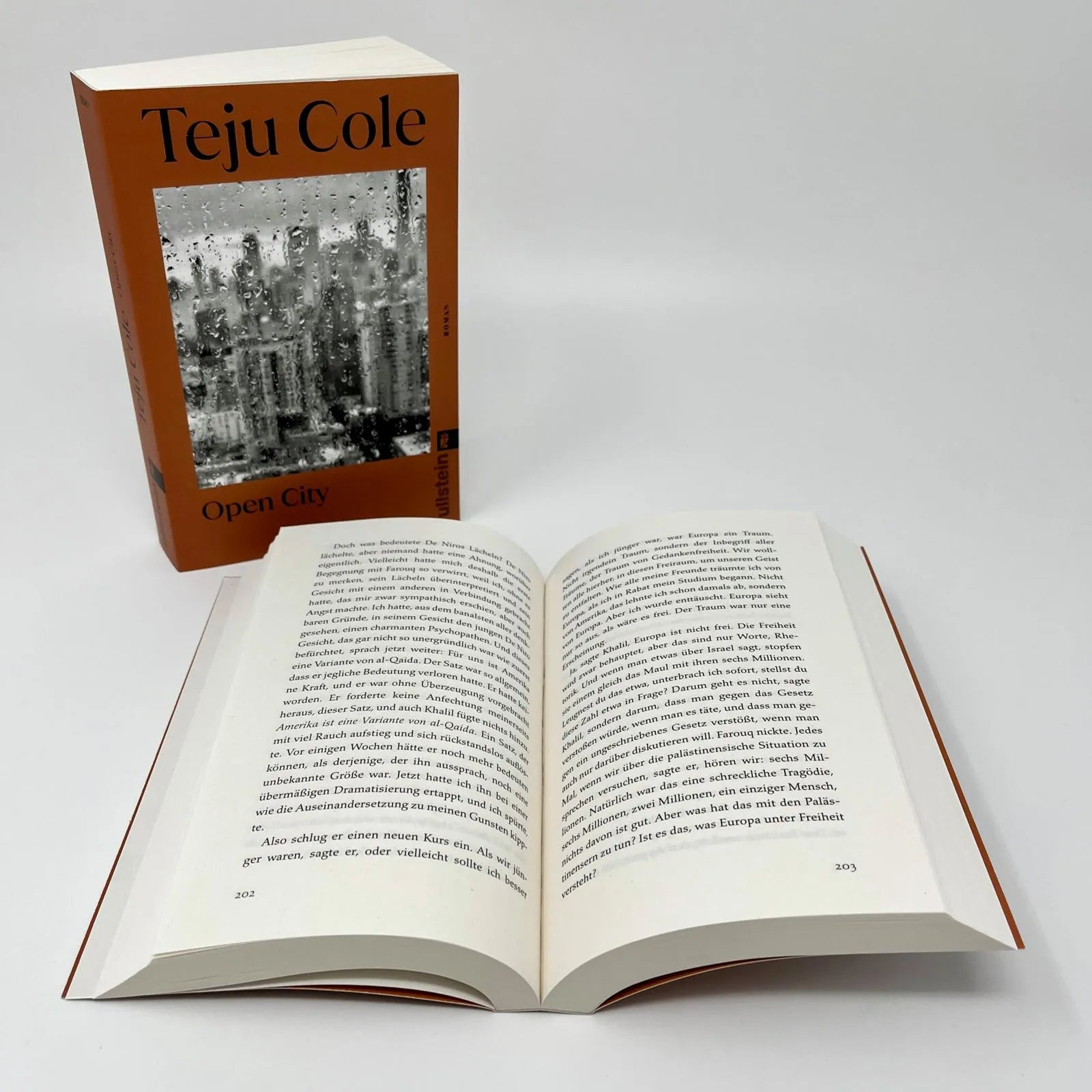 Detailansicht: Open City (Taschenbuch)
