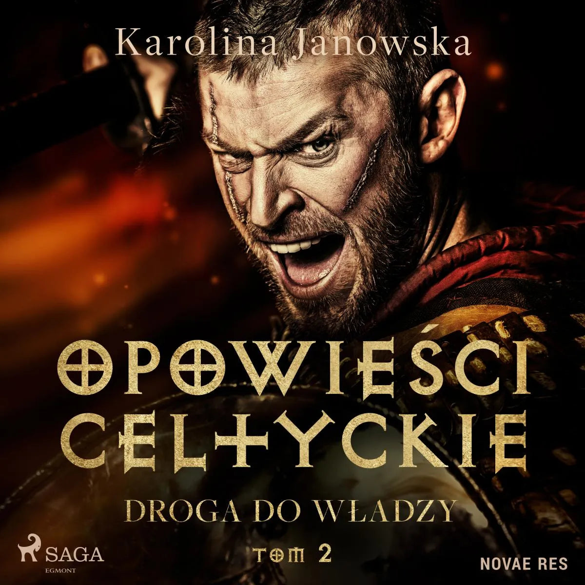 Cover: Opowieści celtyckie. Tom 2. Droga do władzy (Hörbuch Download) von Karolina Janowska
