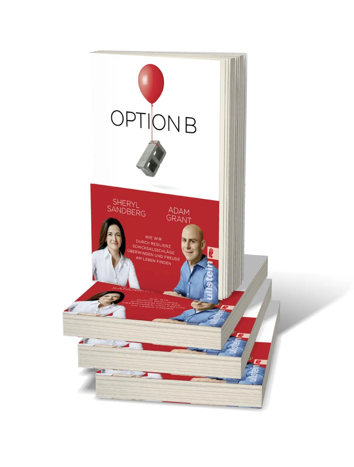 Produktansicht: Option B (Taschenbuch)