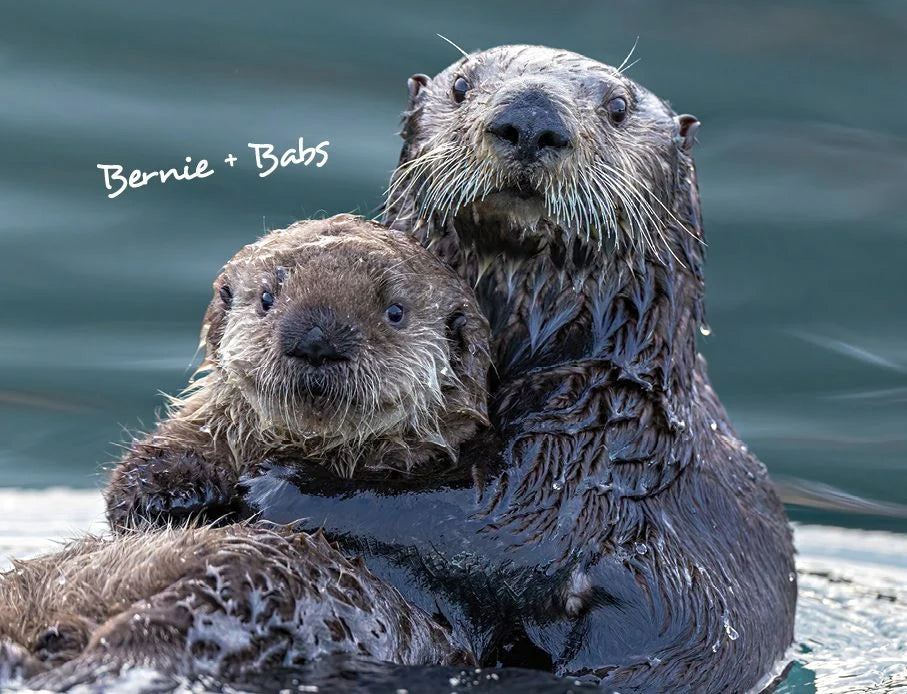 Otter Kalender 2027 Wandkalender Eintragkalender – Ansicht
