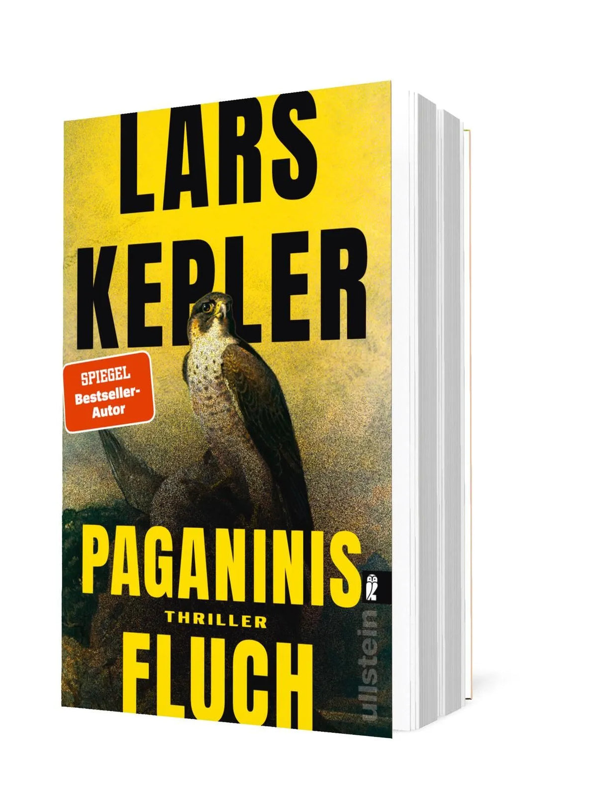 Detailansicht: Paganinis Fluch (Taschenbuch)