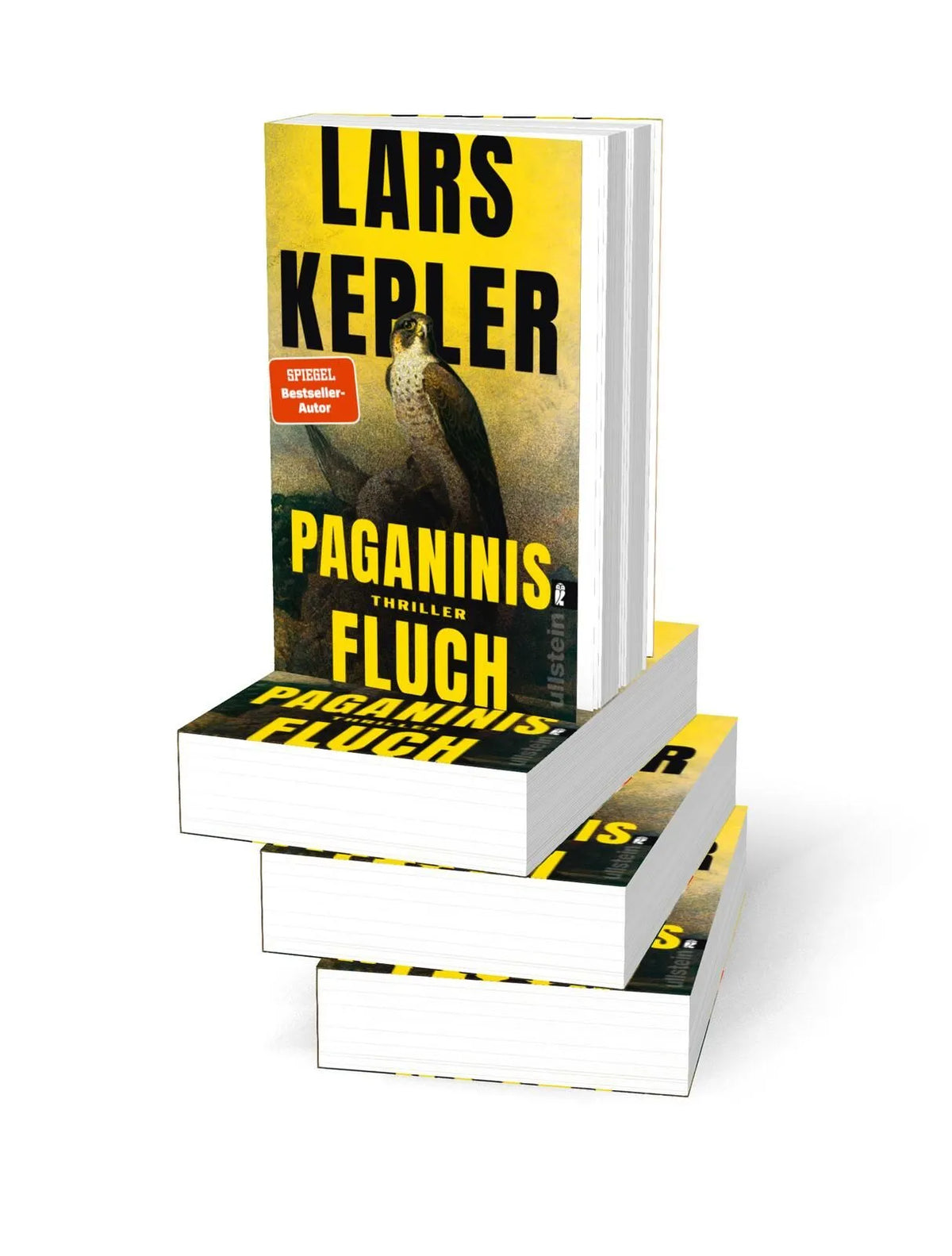 Detailansicht: Paganinis Fluch (Taschenbuch)
