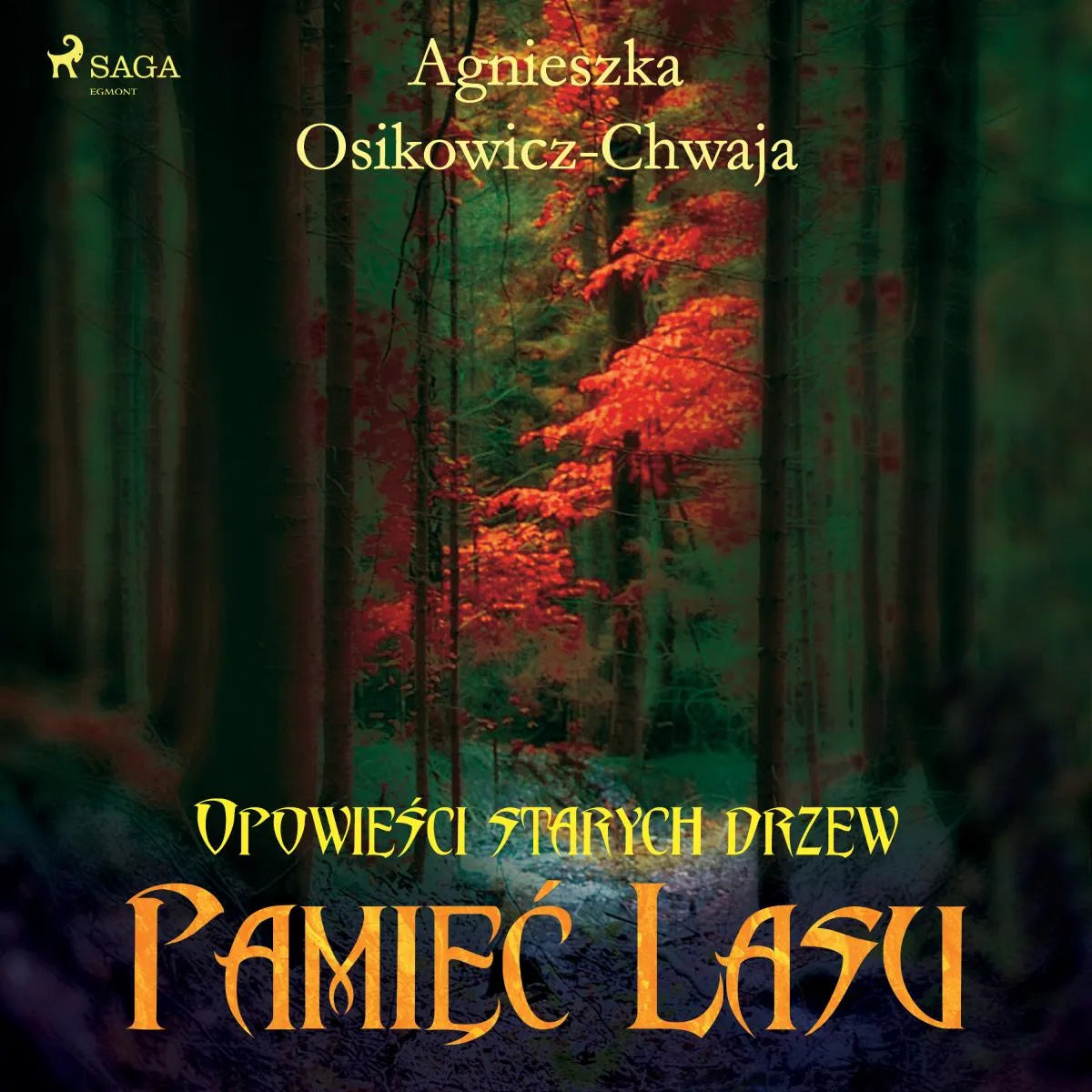 Cover: Pamięć lasu (Hörbuch Download) von Agnieszka Osikowicz-Chwaja