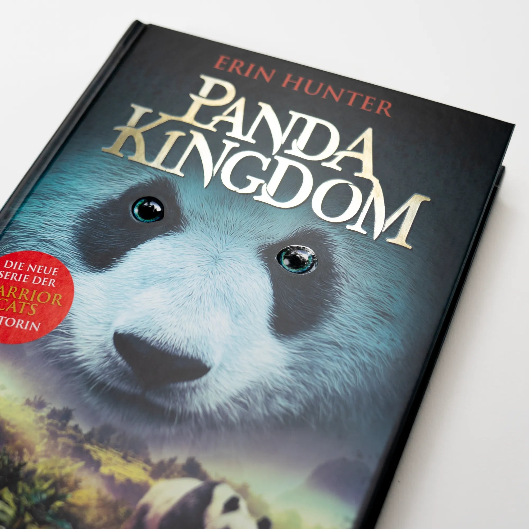 Produktansicht: Panda Kingdom - Reißende Flut (Gebundene Ausgabe)