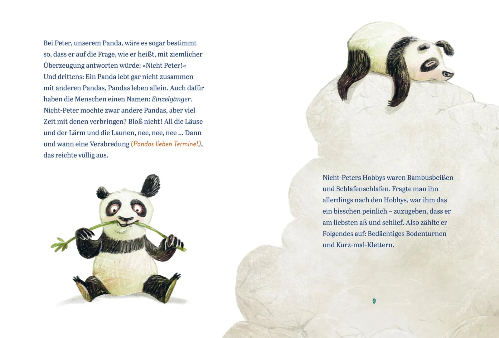 Saša Stanišić - Panda-Pand