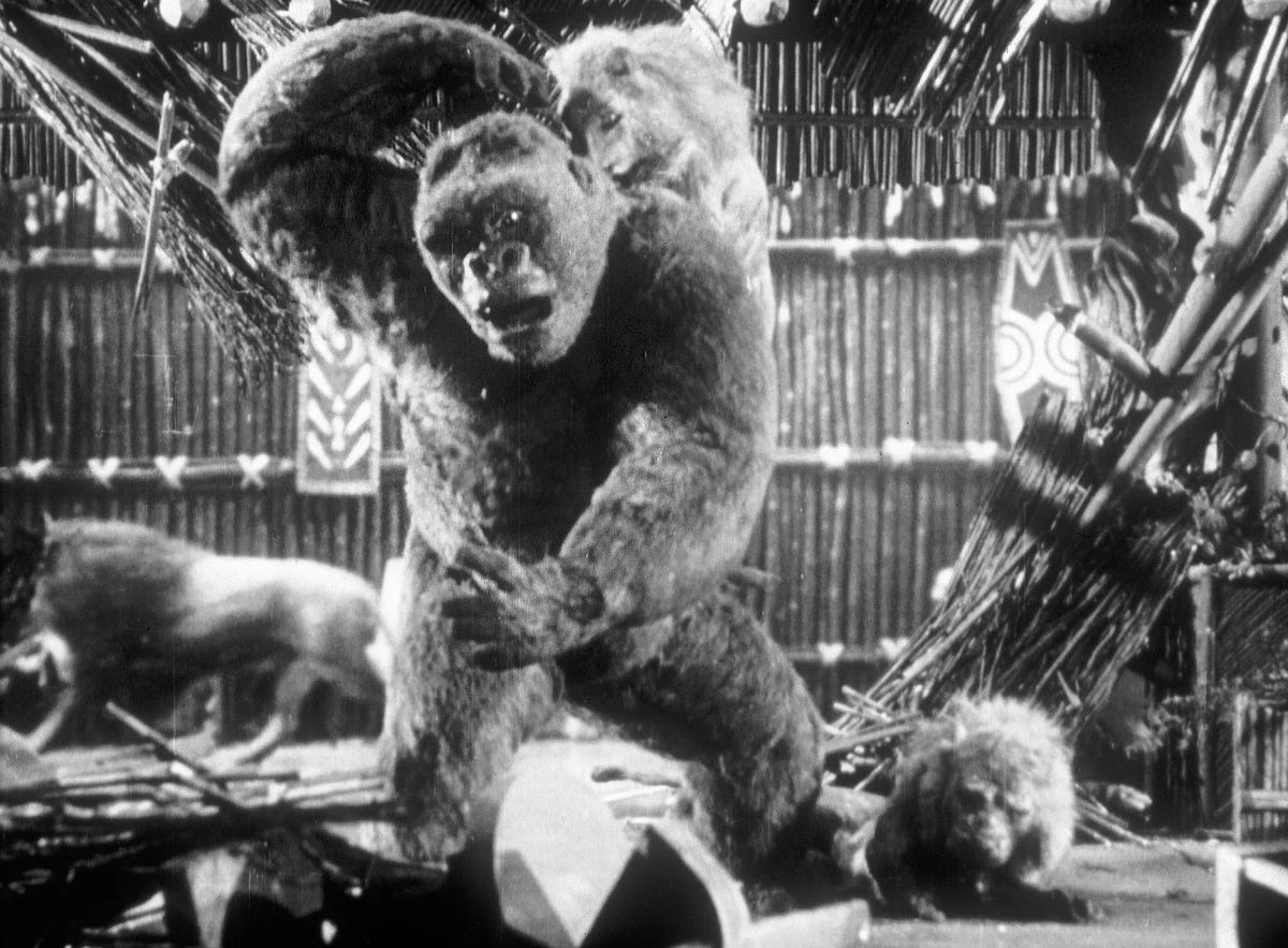 Filmszene 2 aus Panik um King Kong (Mighty Joe Young) – Blu-ray