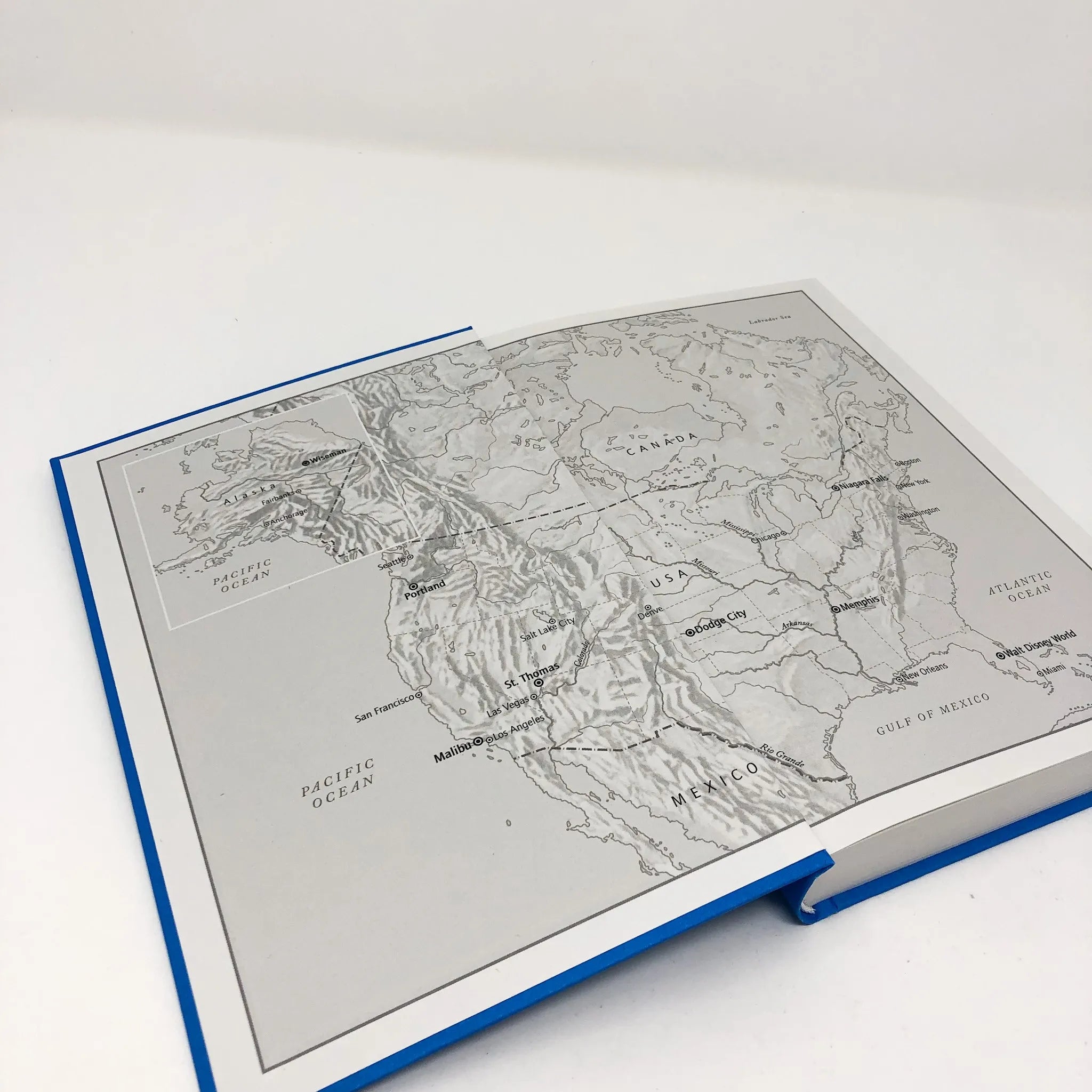 Produktansicht: Paradise Blues (Gebundene Ausgabe)