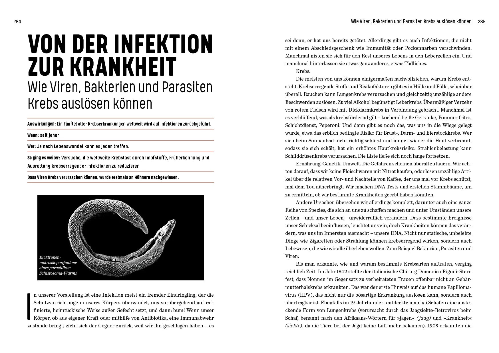 Innenansicht von 'Patient Zero' - Gebundene Ausgabe