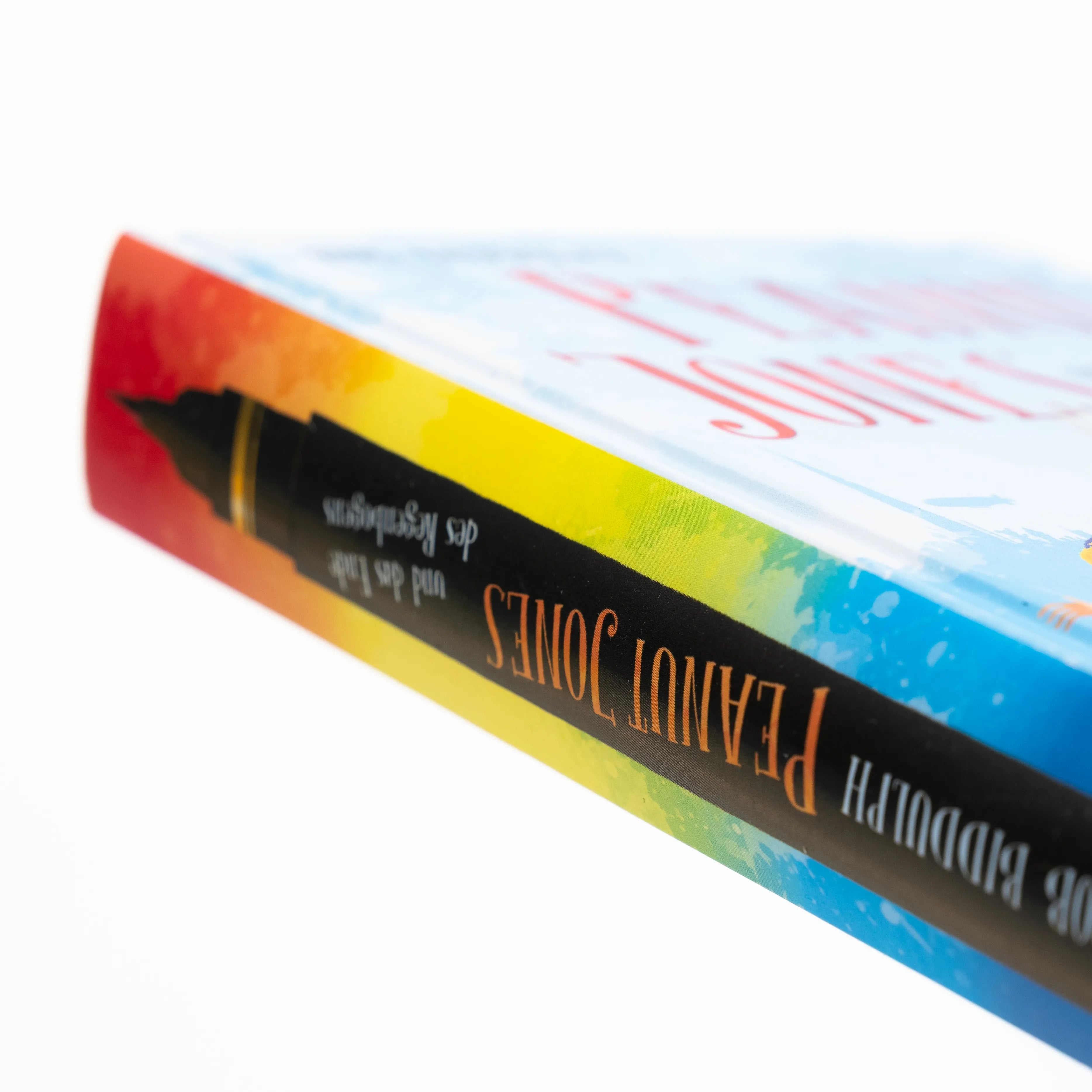 Detailansicht: Peanut Jones und das Ende des Regenbogens (Hardcover)