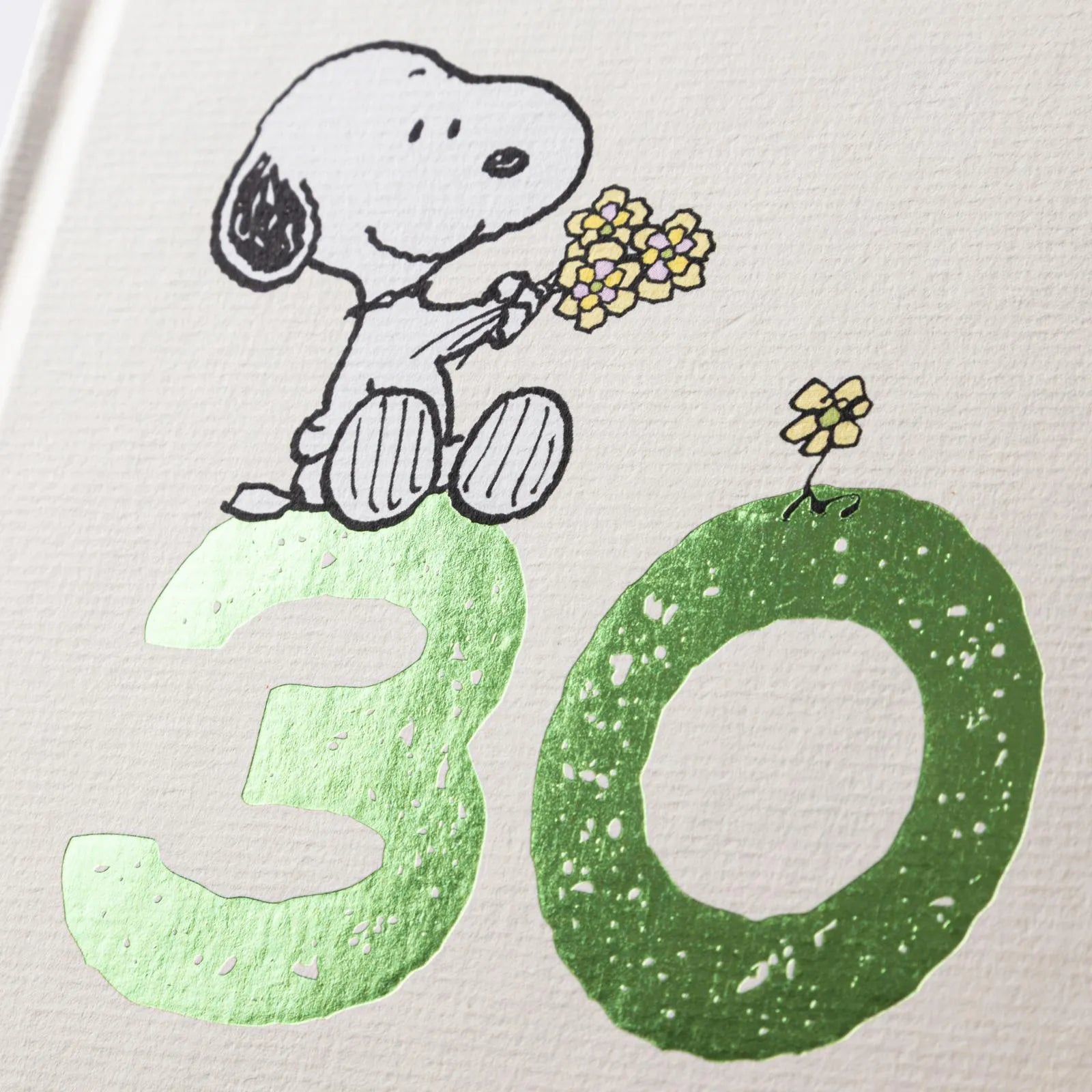 Detailansicht: Peanuts Geschenkbuch: Happy Birthday zum 30. Geburtstag (Hardcover)