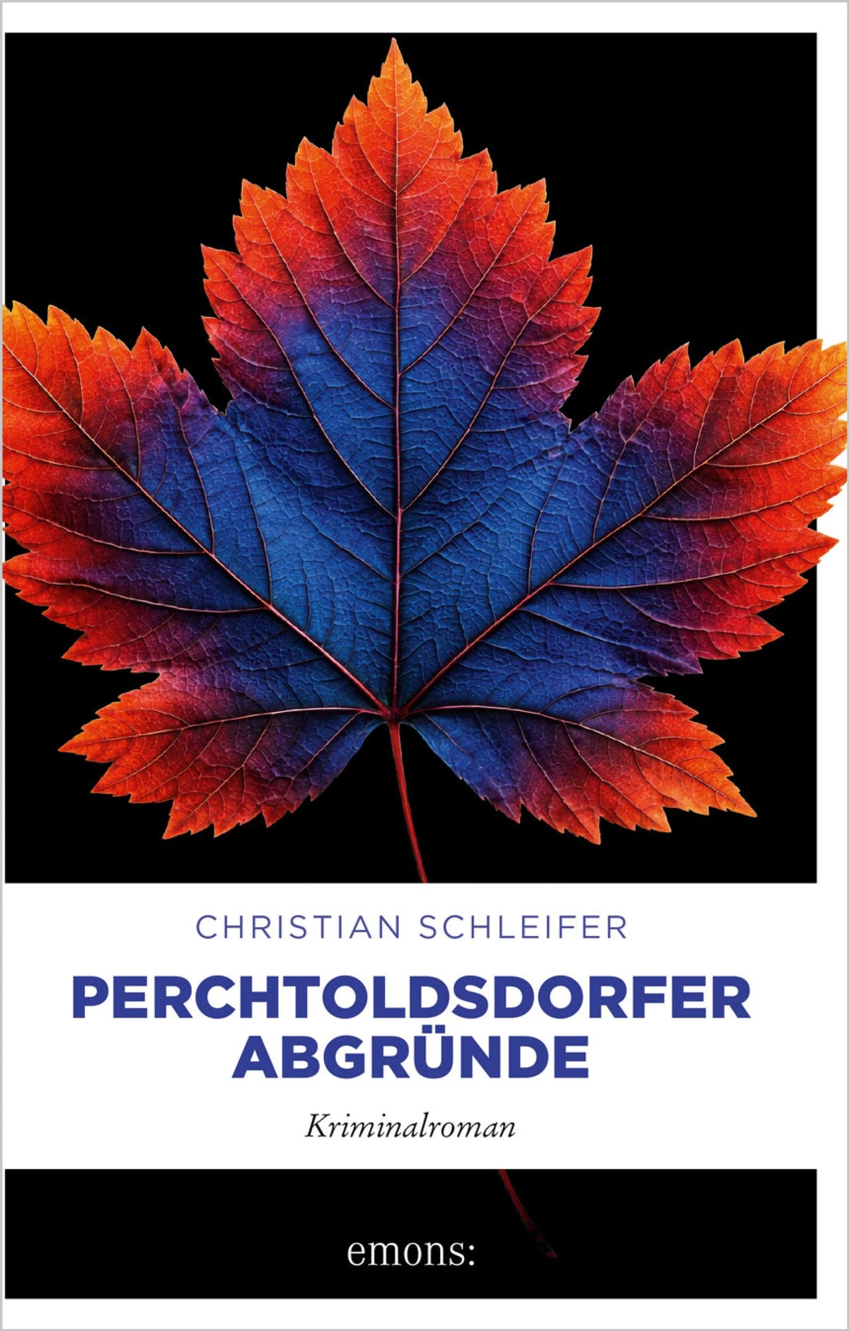 Cover: Perchtoldsdorfer Abgründe (E-Book) von Christian Schleifer