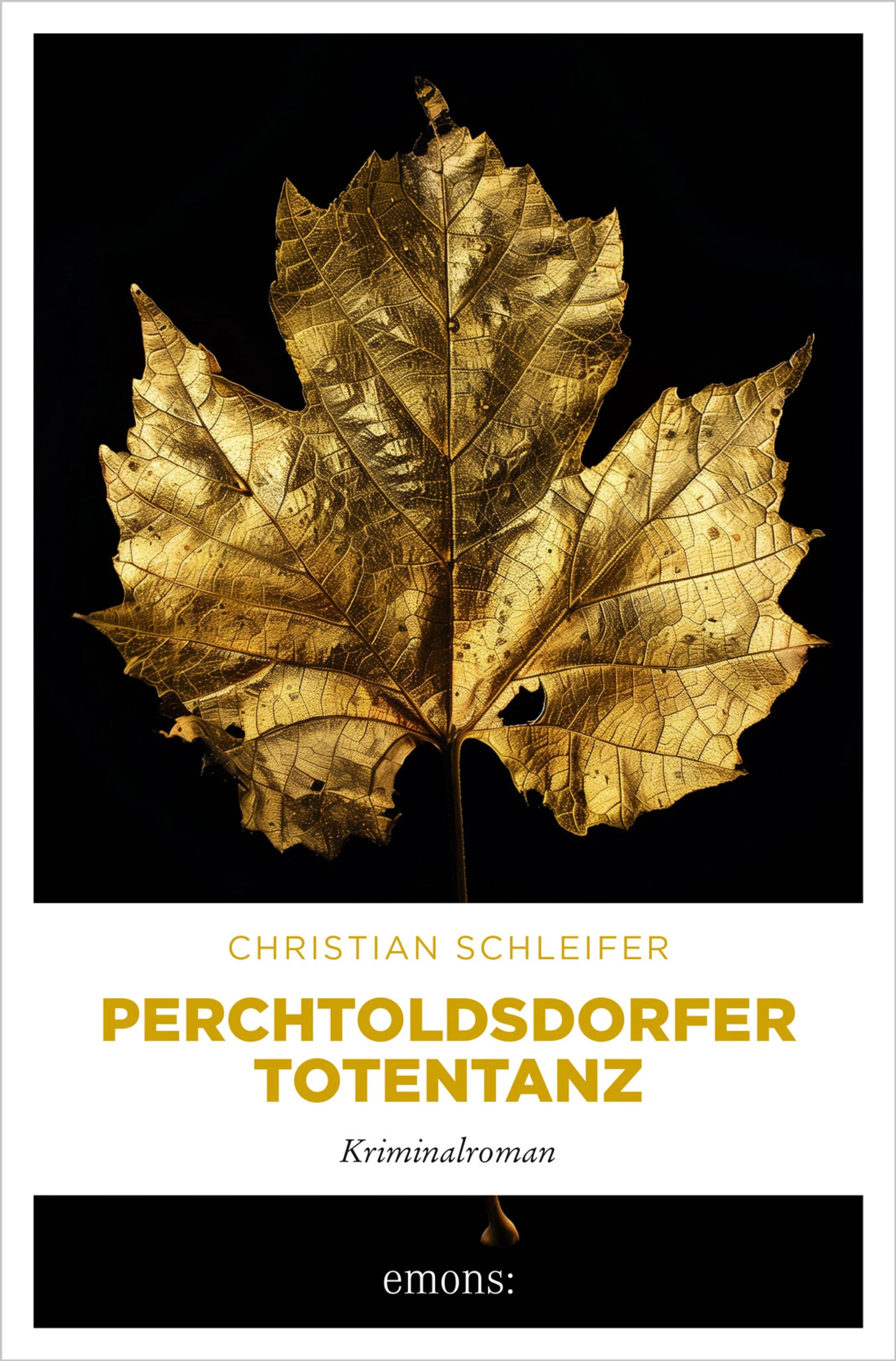 Cover: Perchtoldsdorfer Totentanz (E-Book) von Christian Schleifer