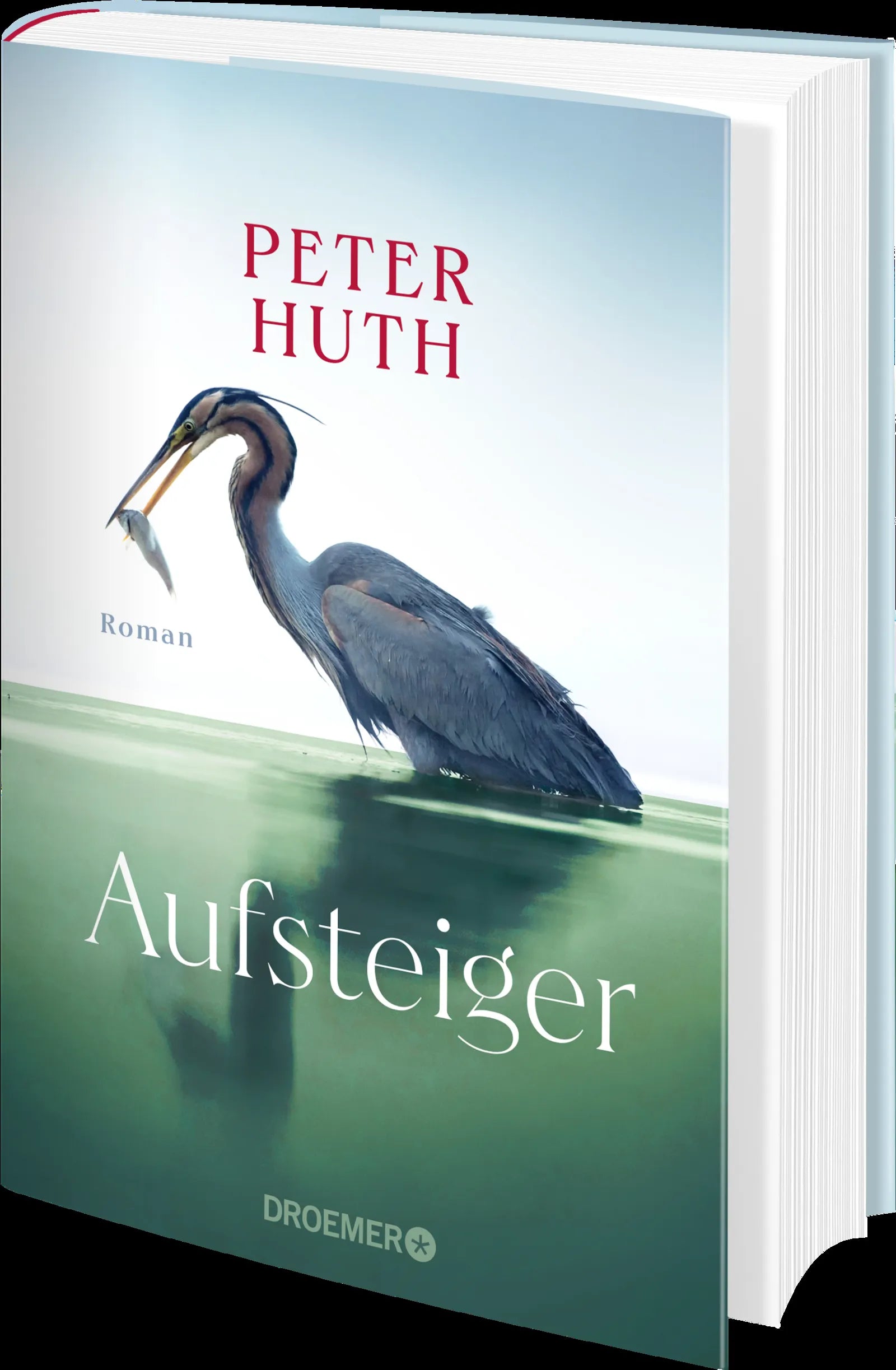 Produktansicht: Aufsteiger (Gebundene Ausgabe)