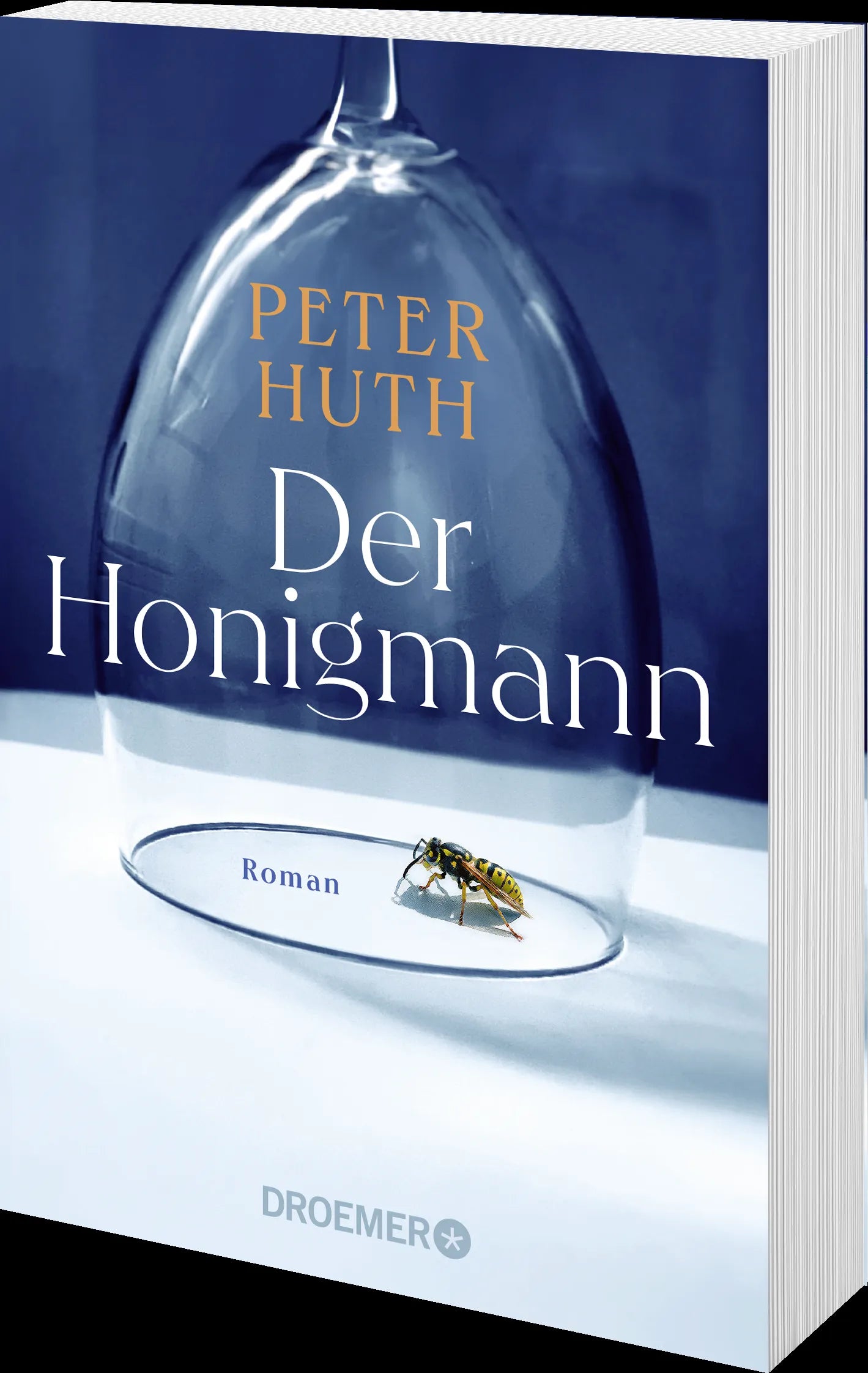 Produktansicht: Der Honigmann (Taschenbuch)