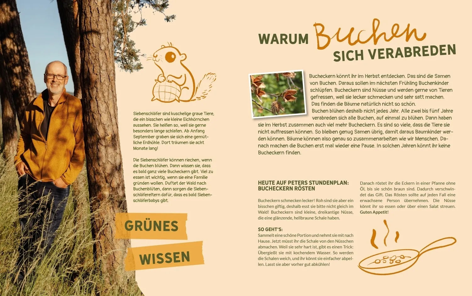 Abbildung von 'Peter Wohllebens Schule des Waldes'
