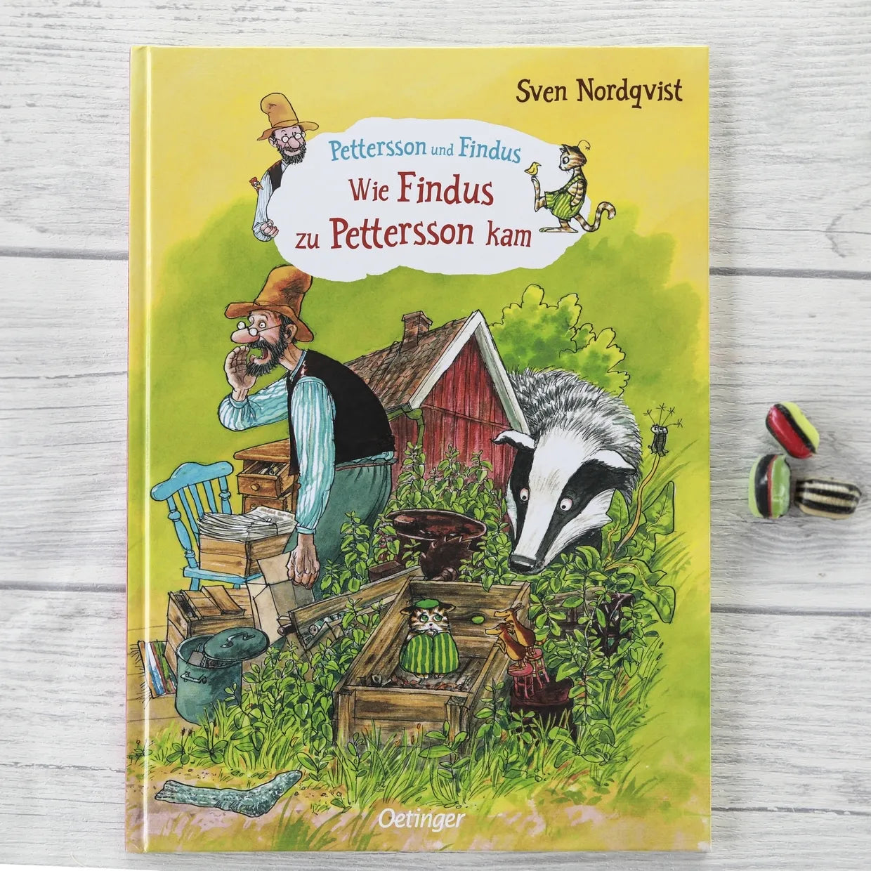 Produktansicht: Pettersson und Findus. Wie Findus zu Pettersson kam (Gebundene Ausgabe)