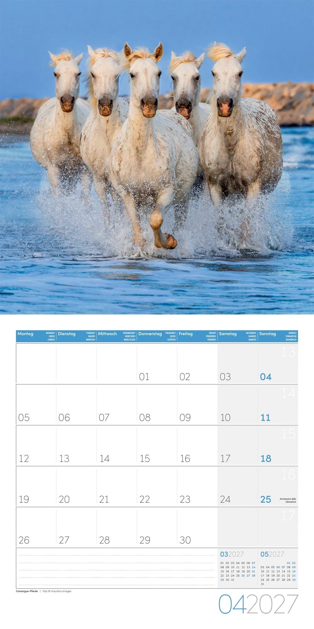 Pferde Kalender 2027 - 30x30 - Art12 – Ansicht